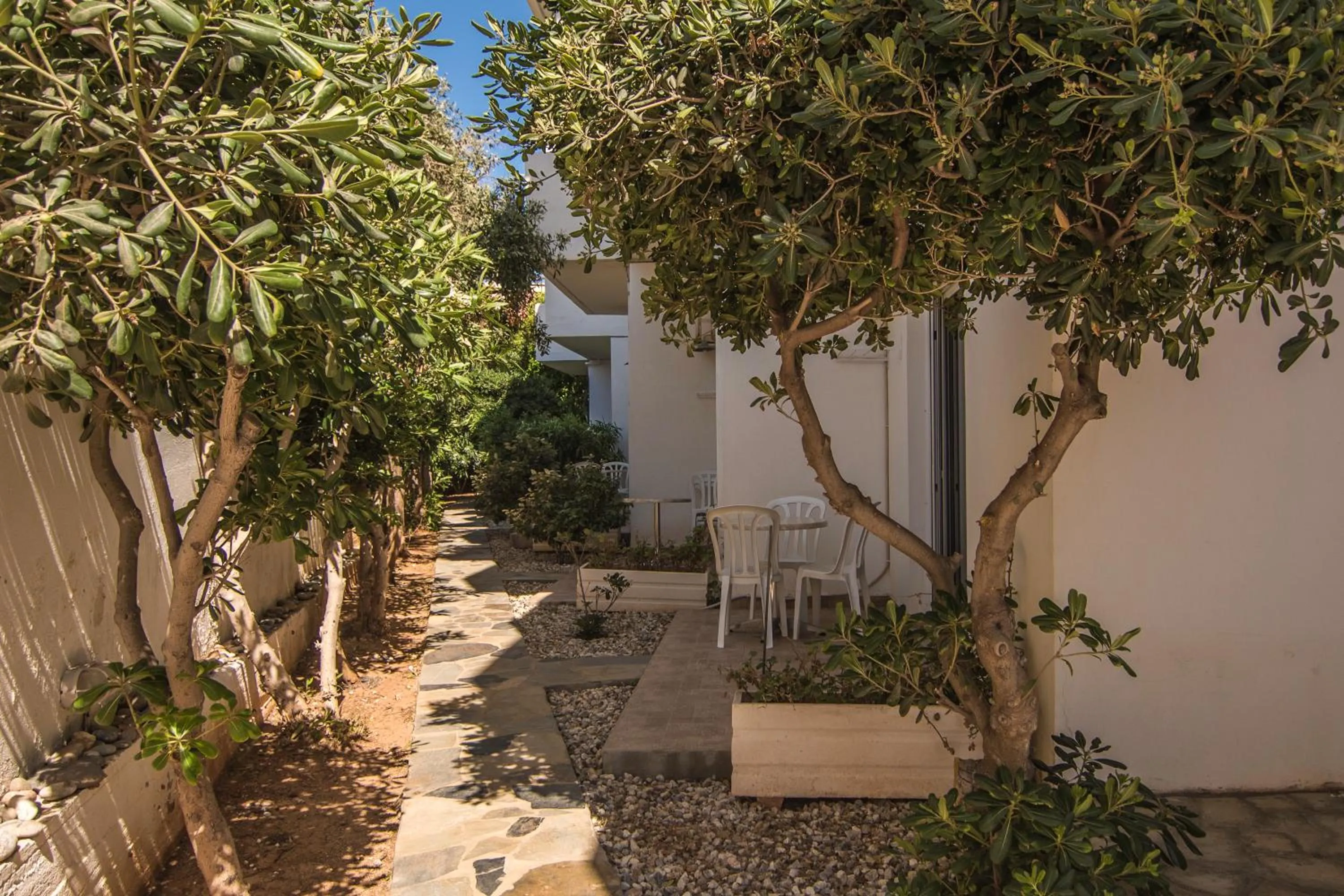 Patio in Sifis Studios