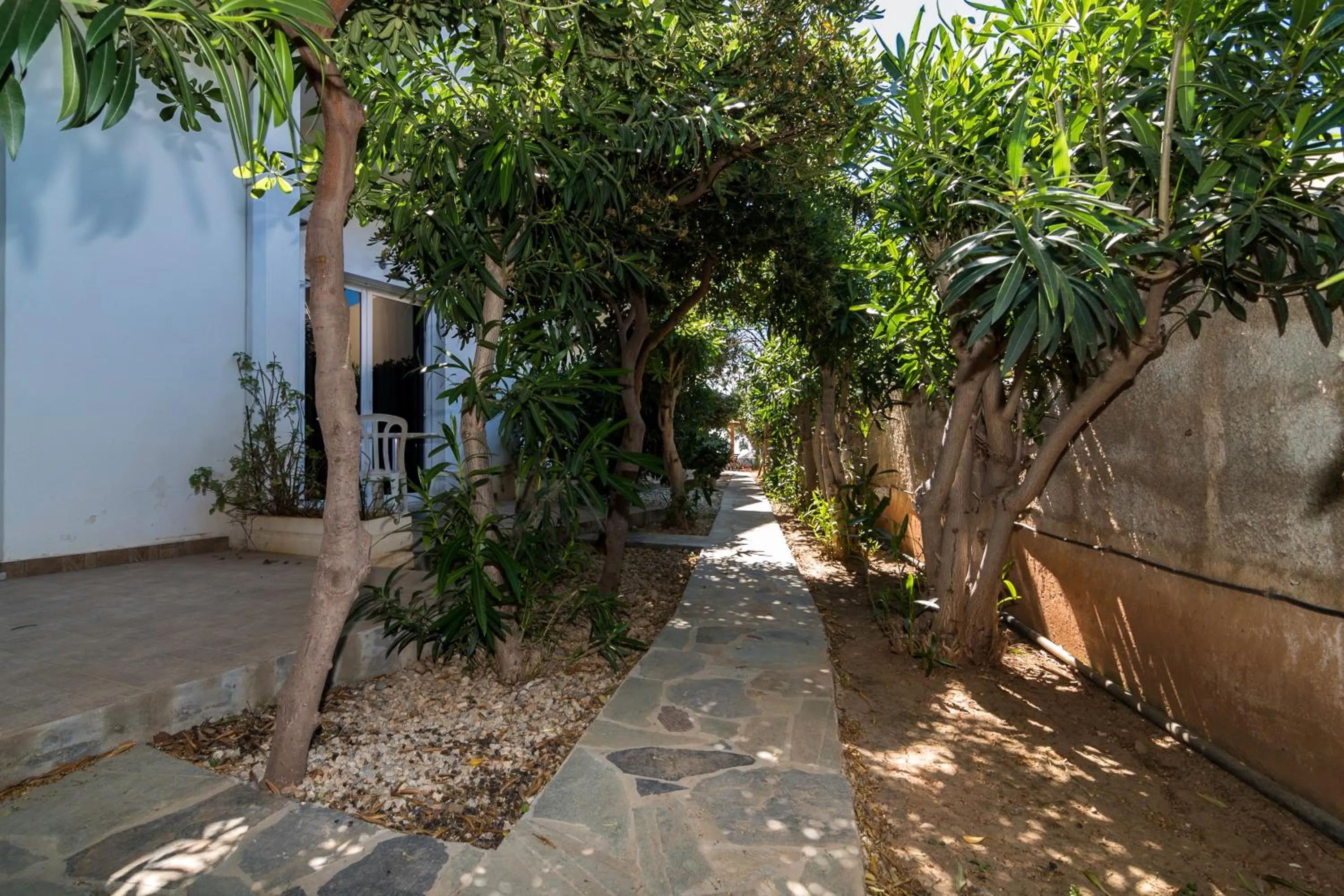 Patio in Sifis Studios