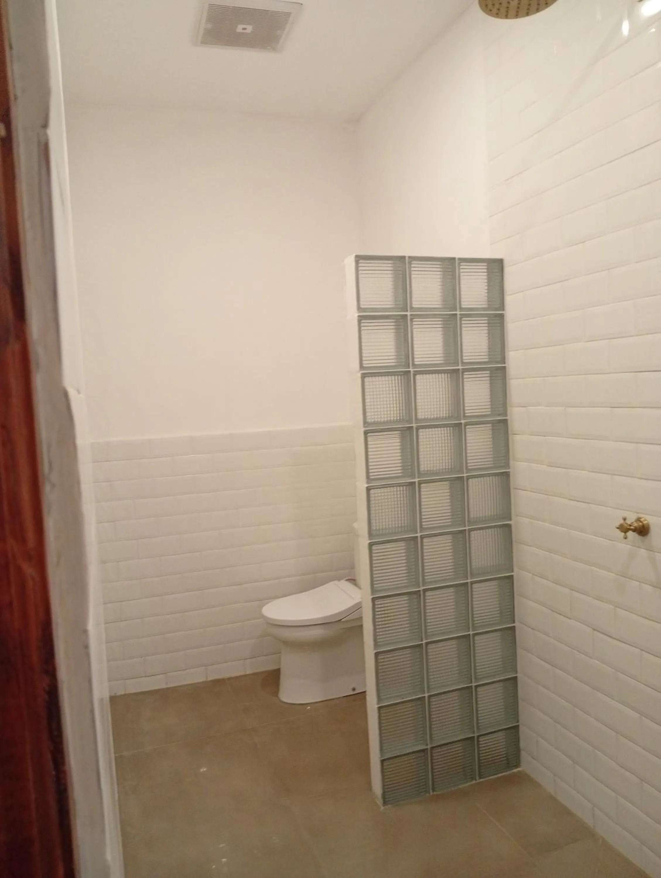 Tipsea Turtle Gili Air