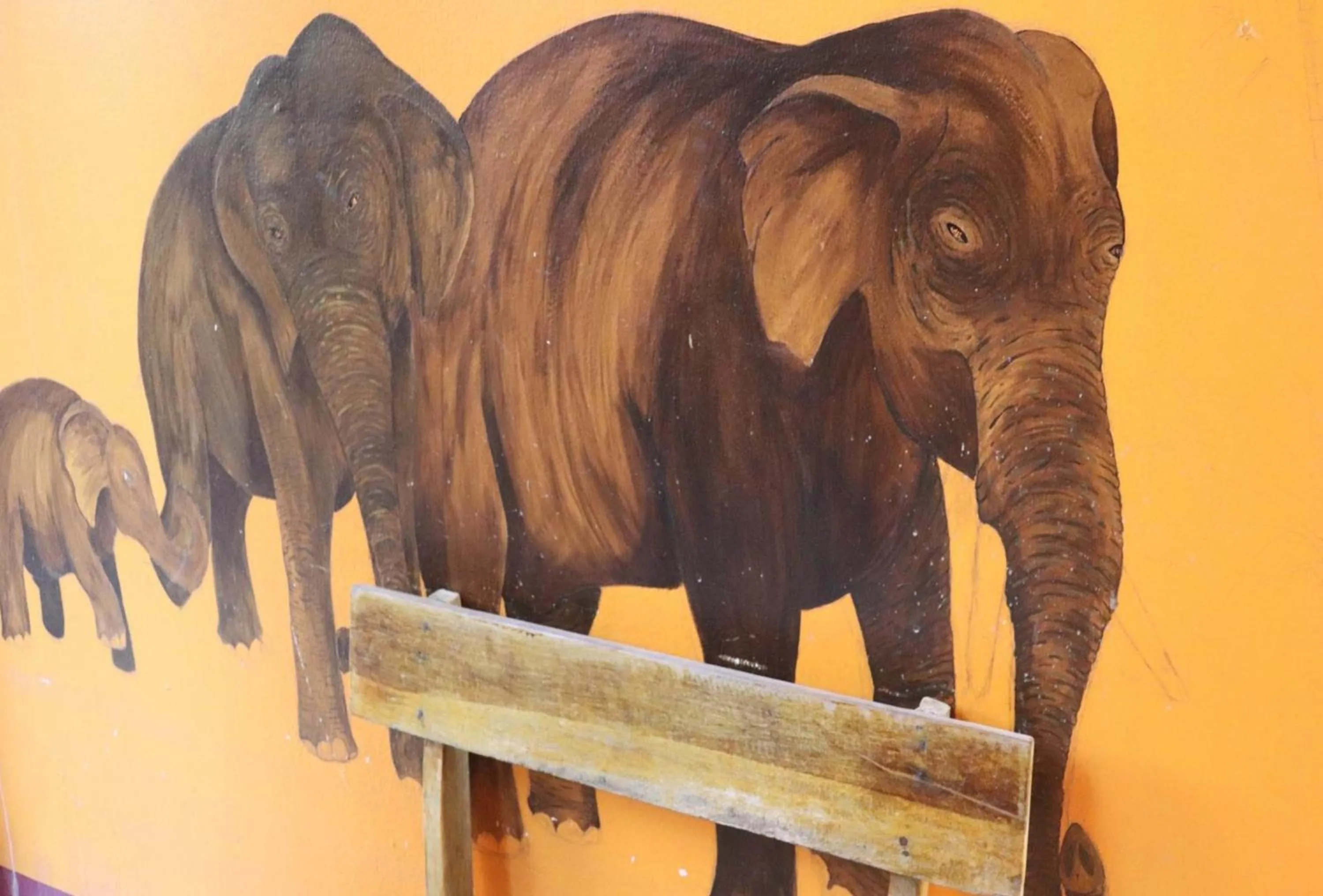 Other in Trekker Camp