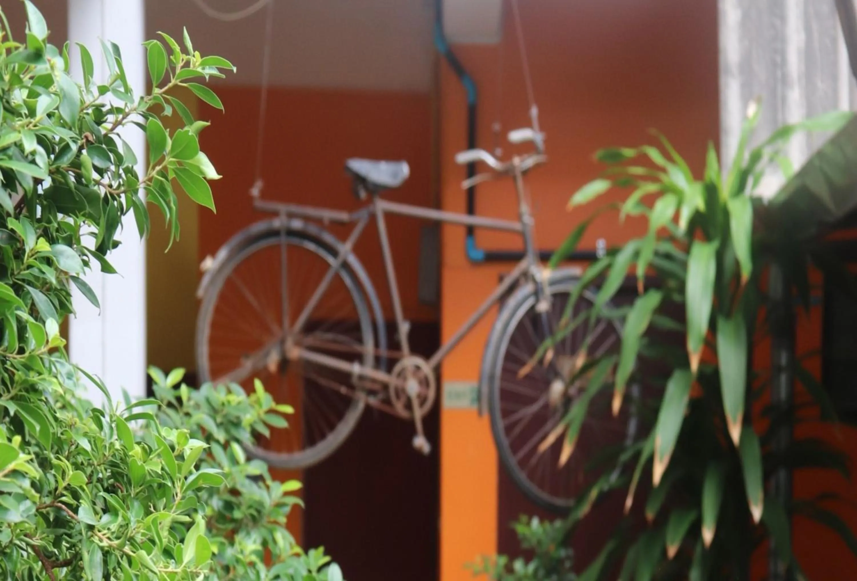 Other in Trekker Camp