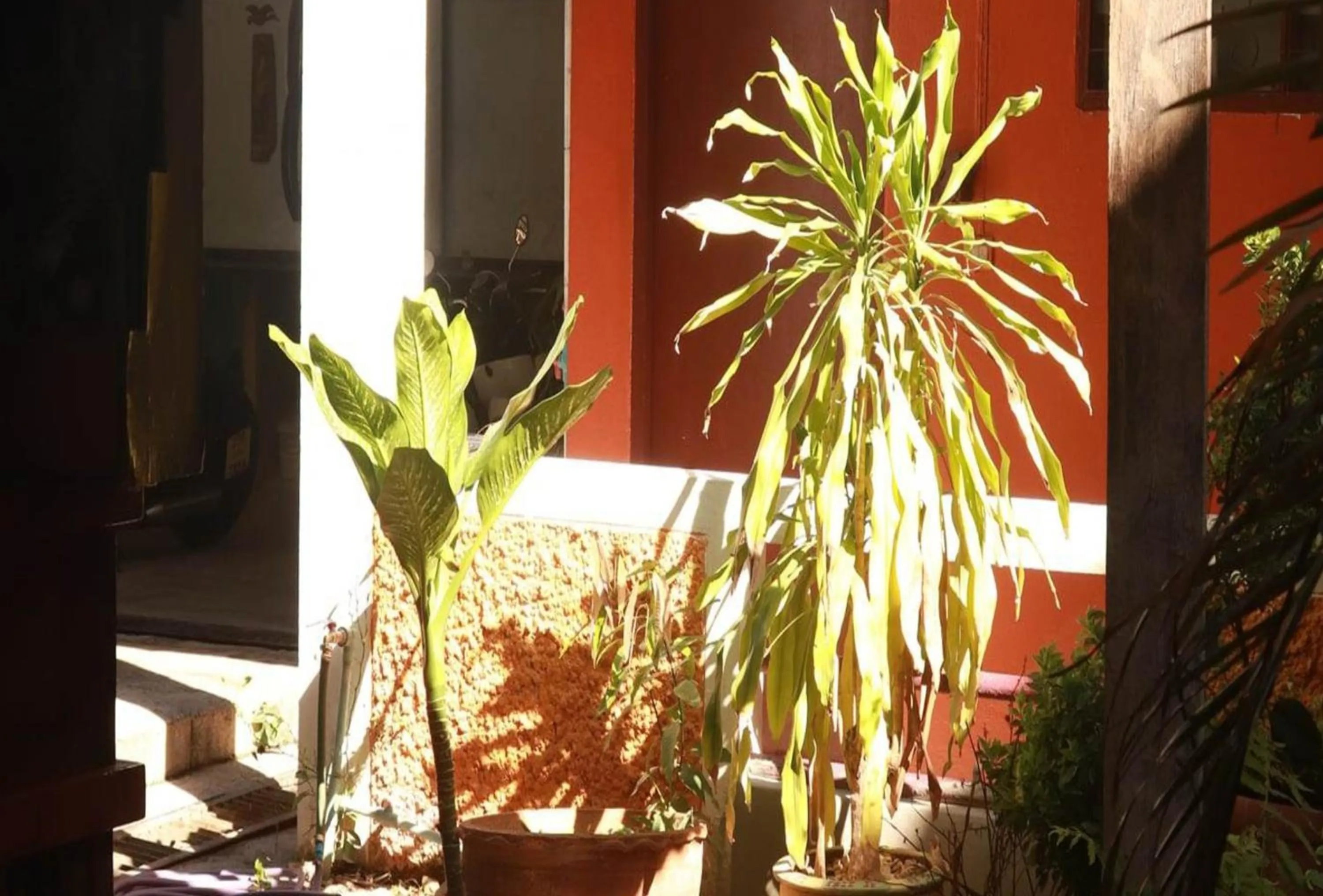 Other in Trekker Camp