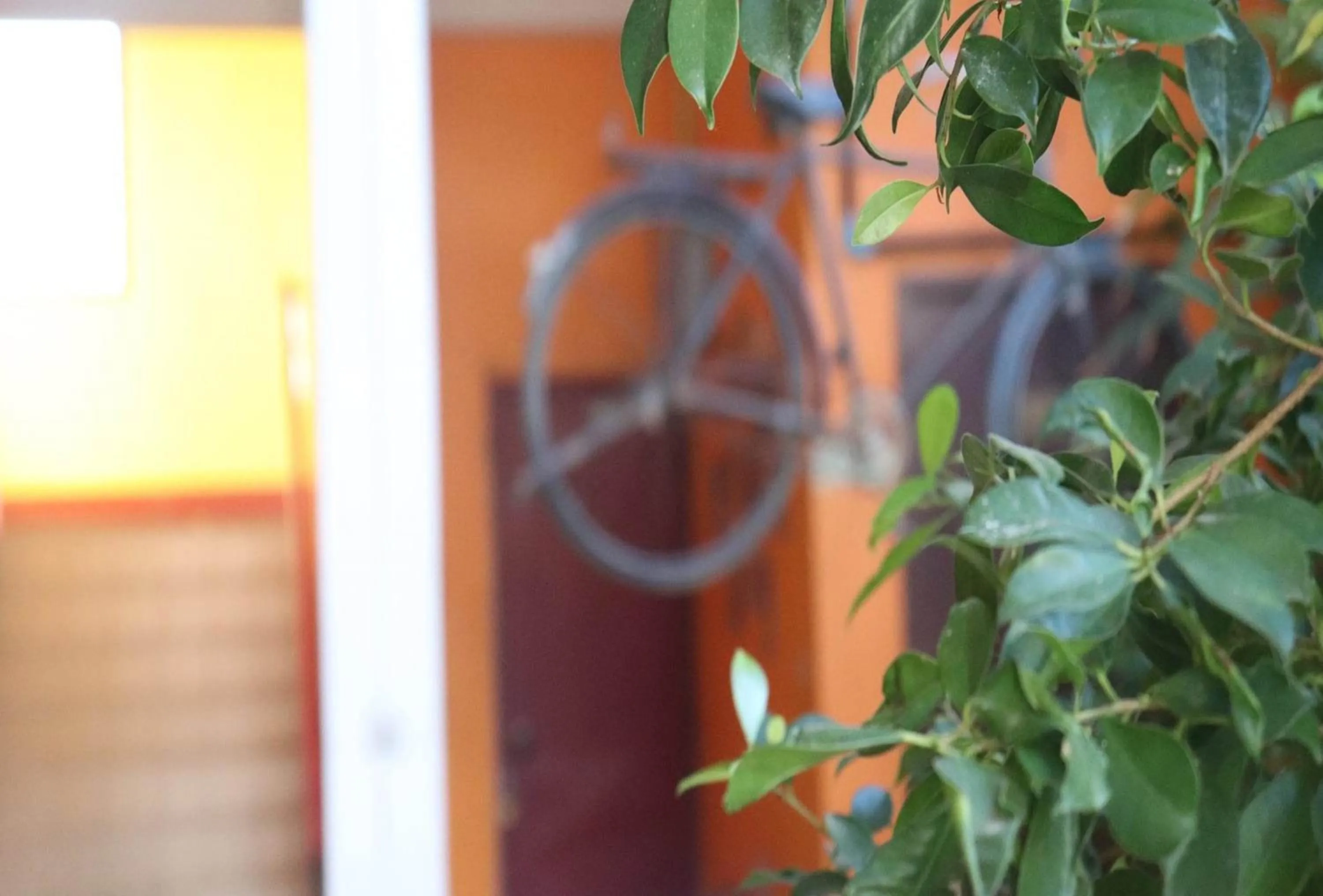 Other in Trekker Camp