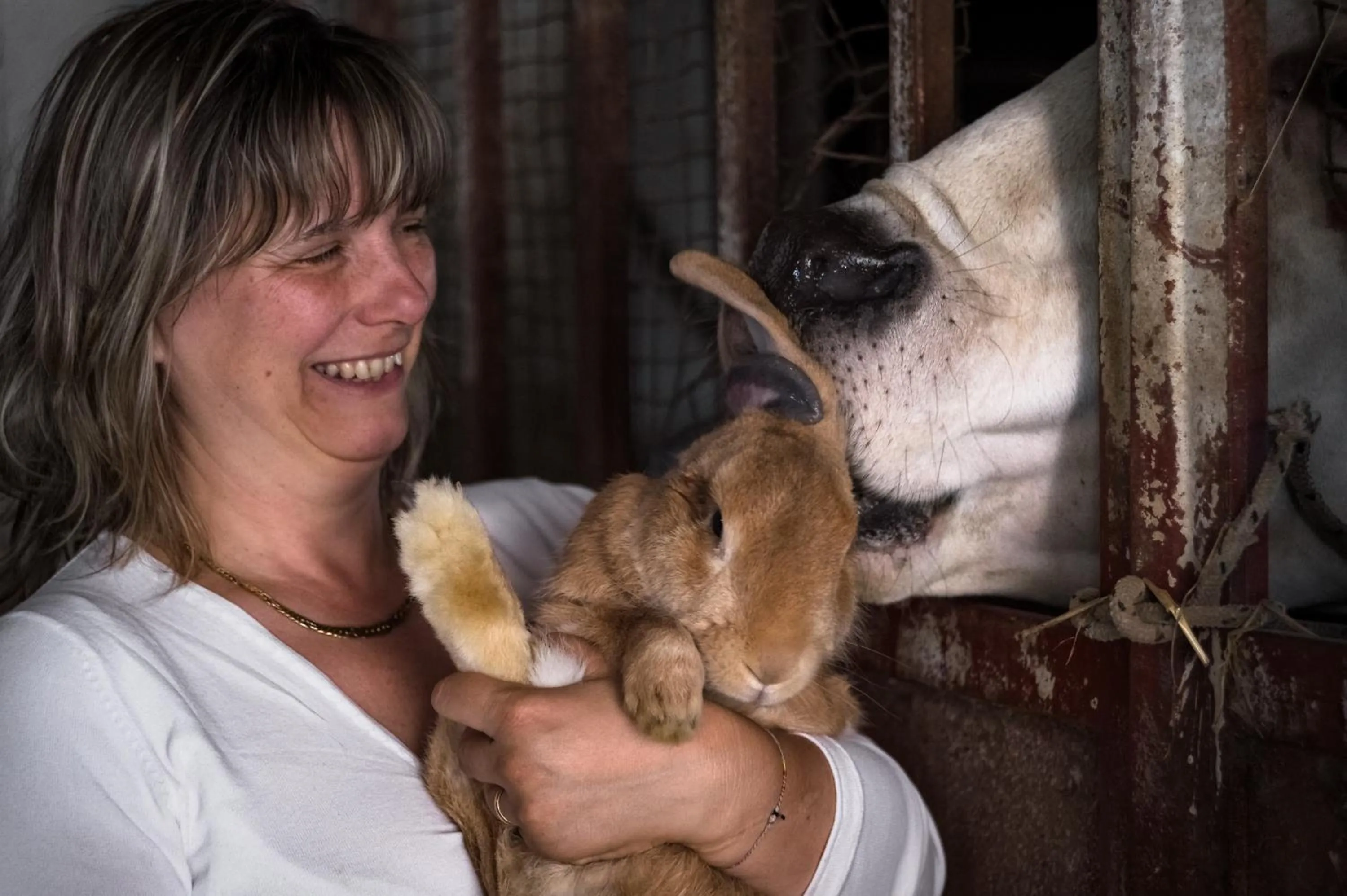 People in All'Ombra del Castello