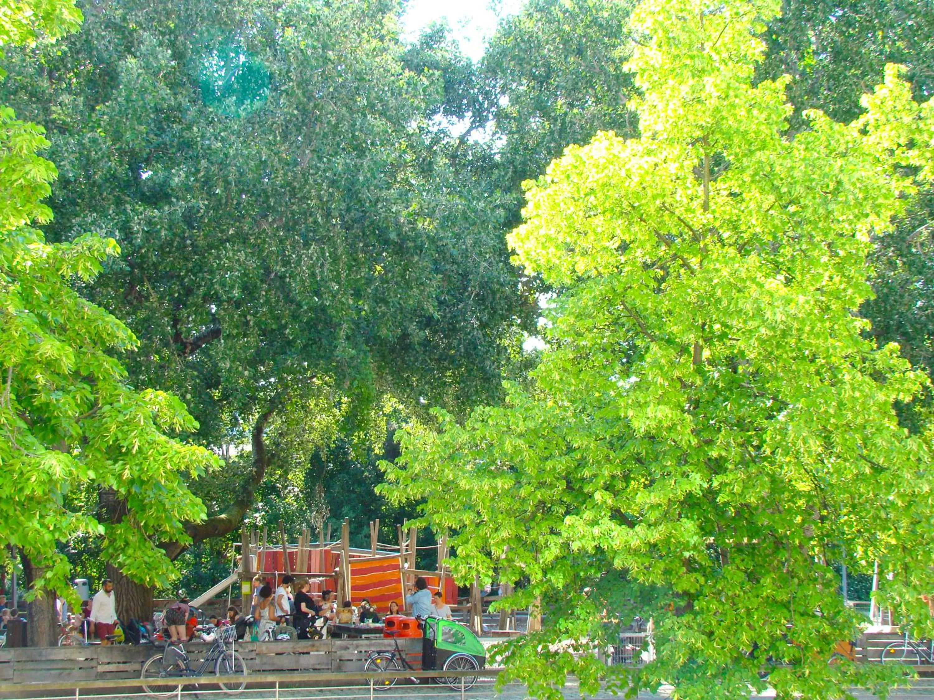 Activities in BNB Potsdamer Platz - Rooms & Apartments