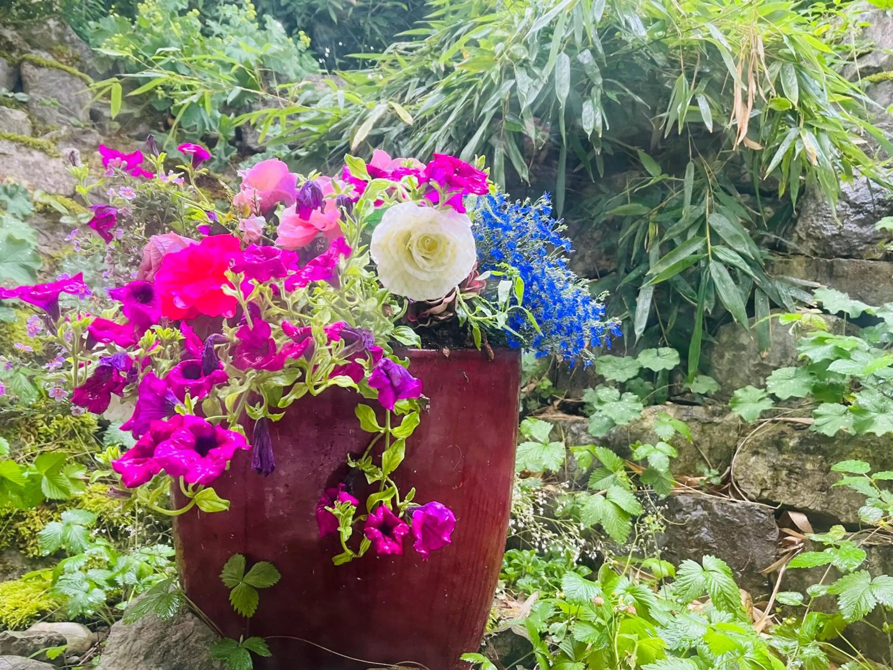 Spring in Bed and Breakfast Bavaria München