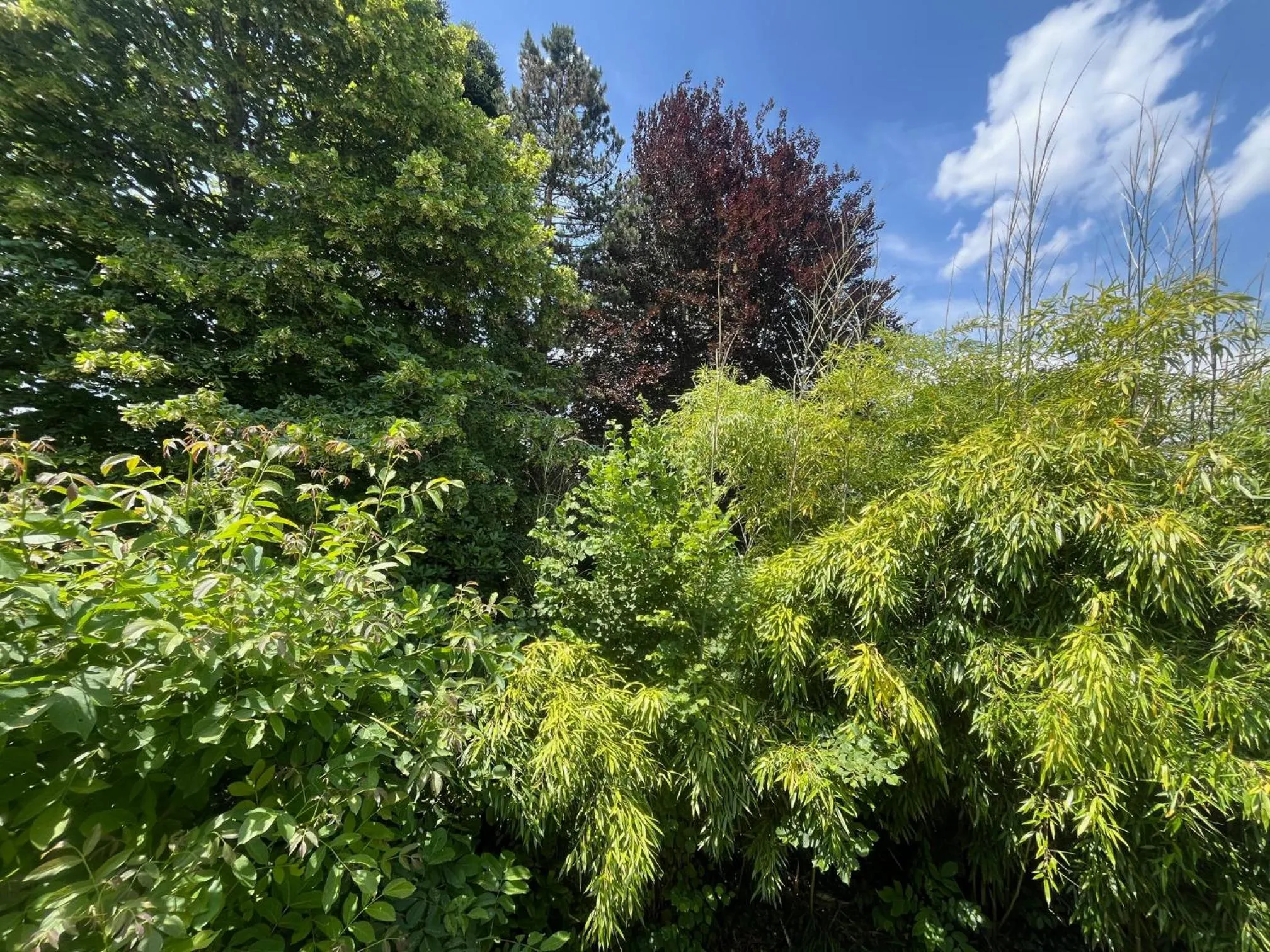 Garden view in Bed and Breakfast Bavaria München