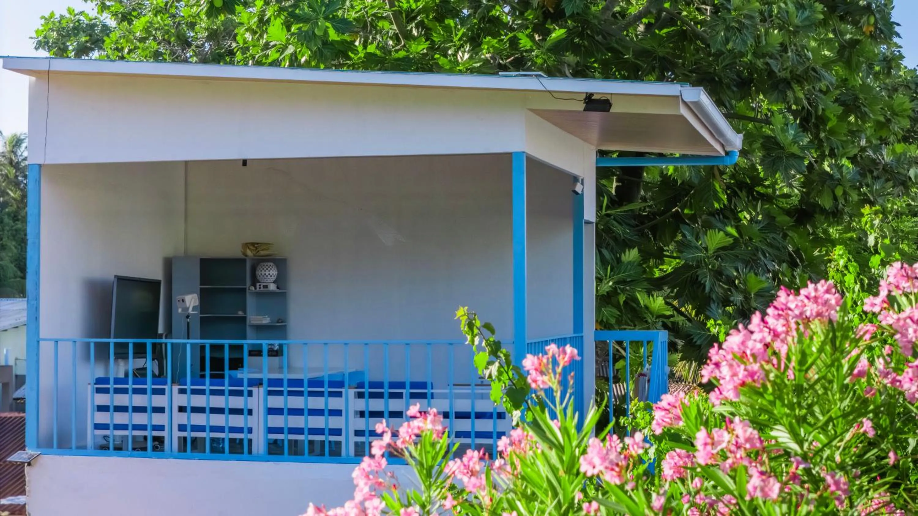 Property building in Alkina lodge