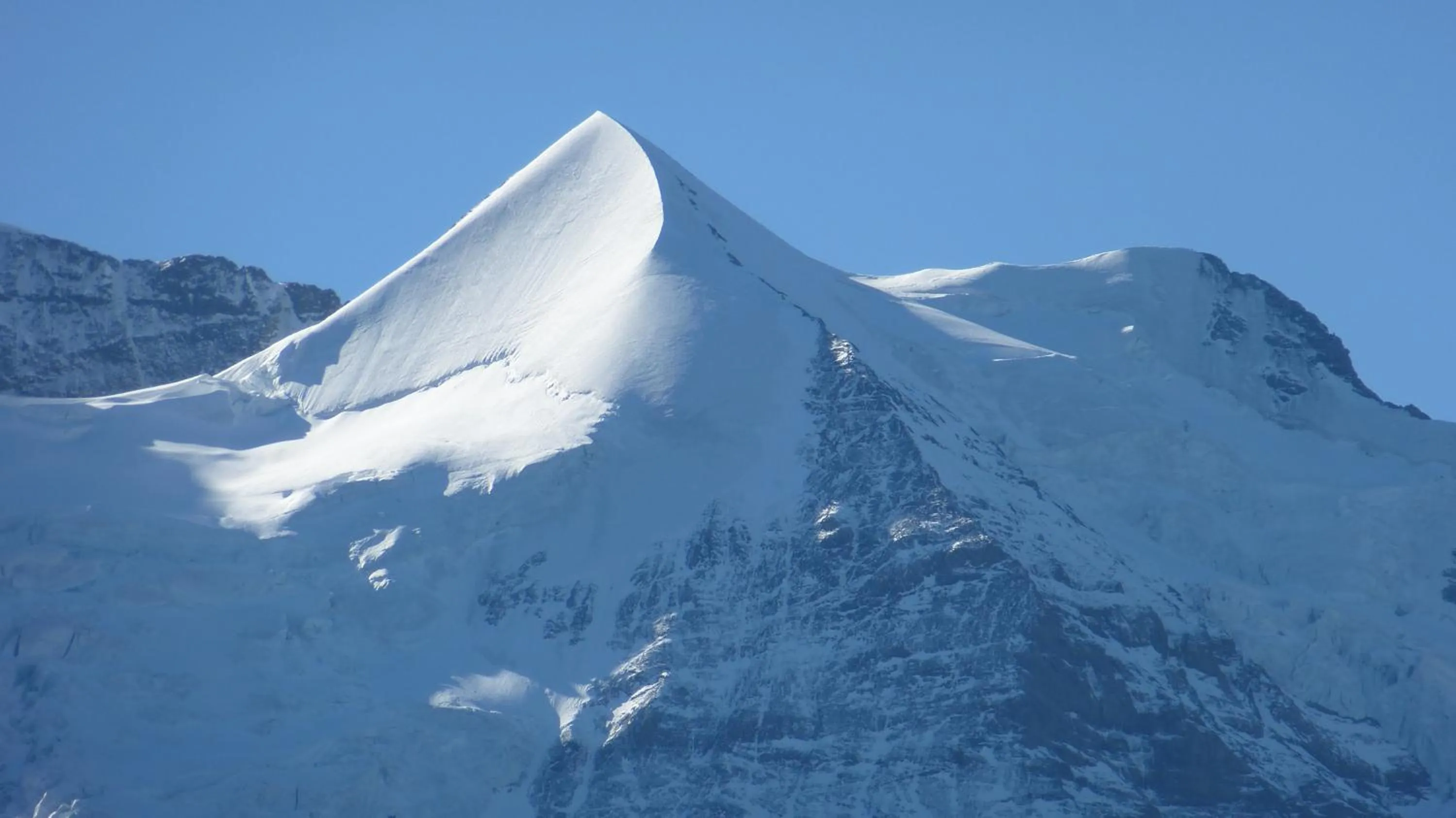 Area and facilities in Alpenkräuter Hotel Bären