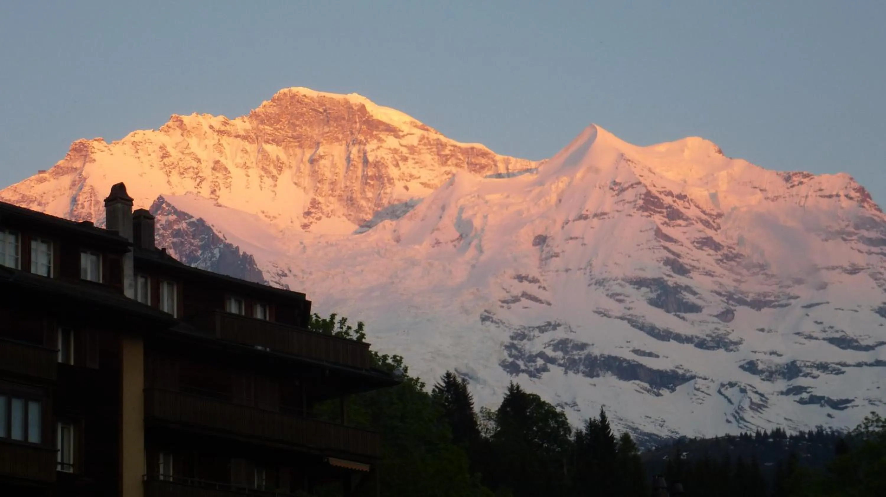 Area and facilities in Alpenkräuter Hotel Bären