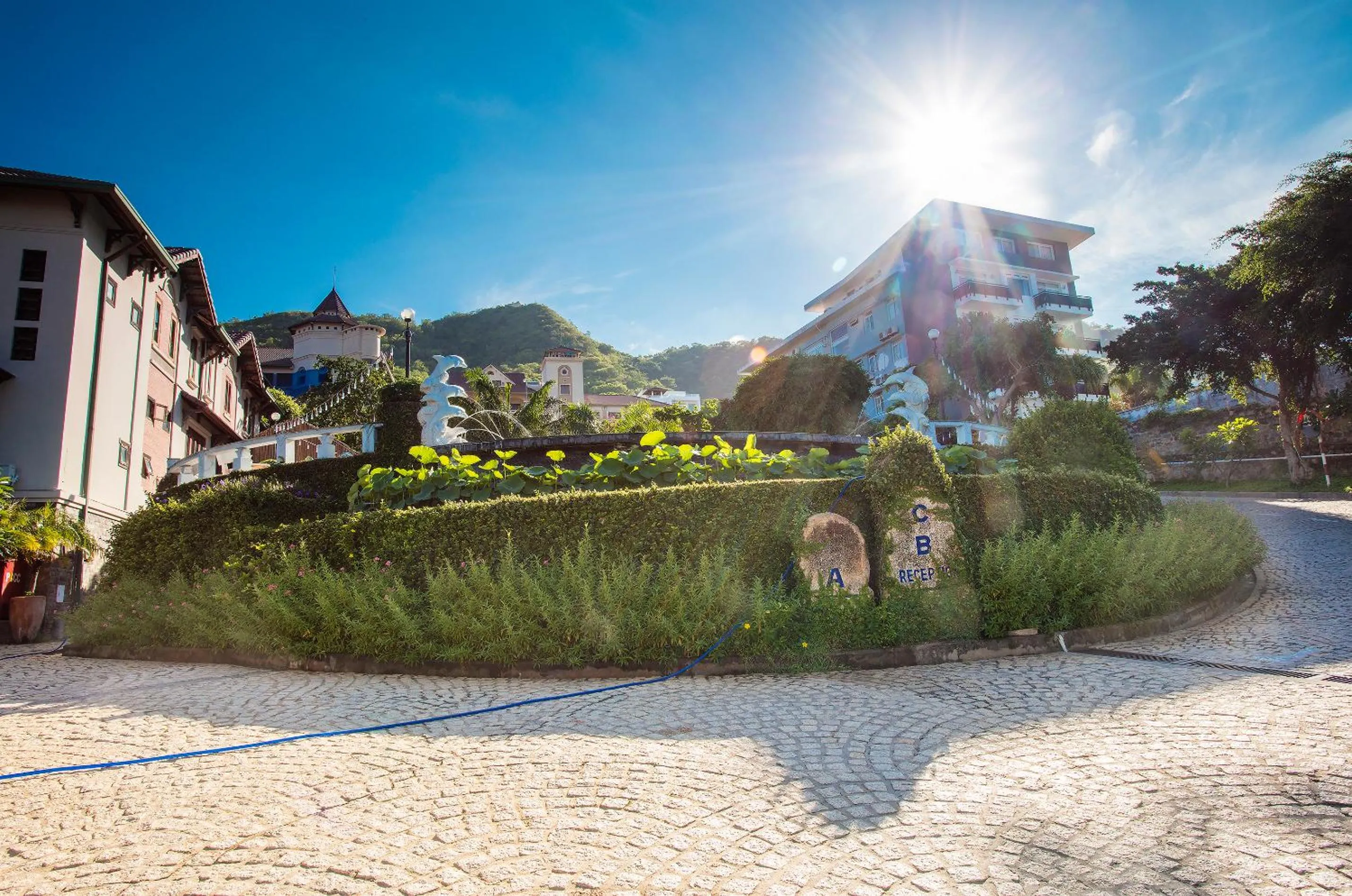 Garden in Beachfront Hotel