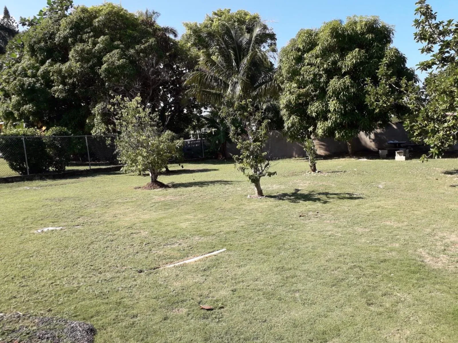 View (from property/room) in Rose View Apartment