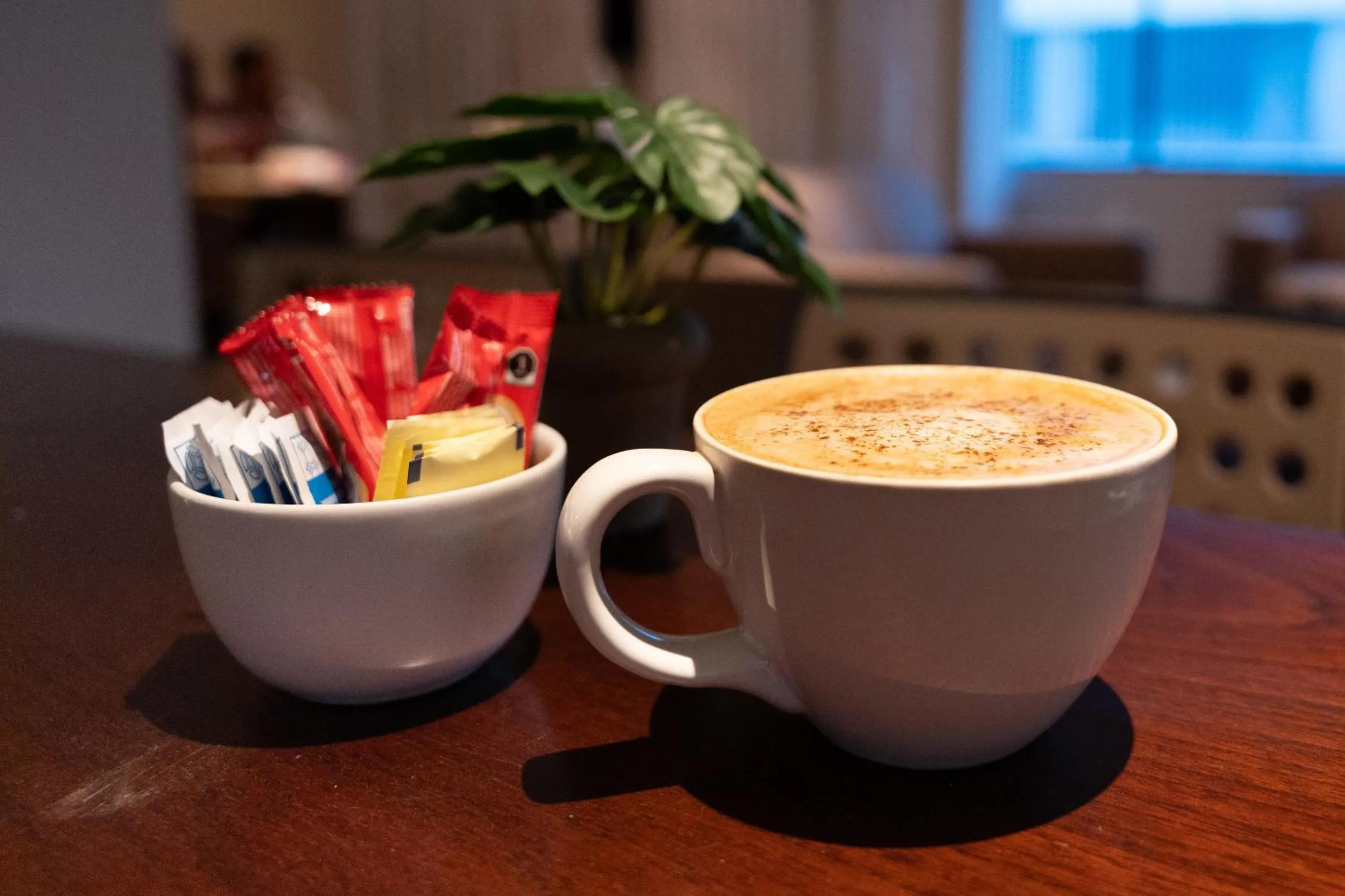 Restaurant/places to eat in Hotel San Antonio