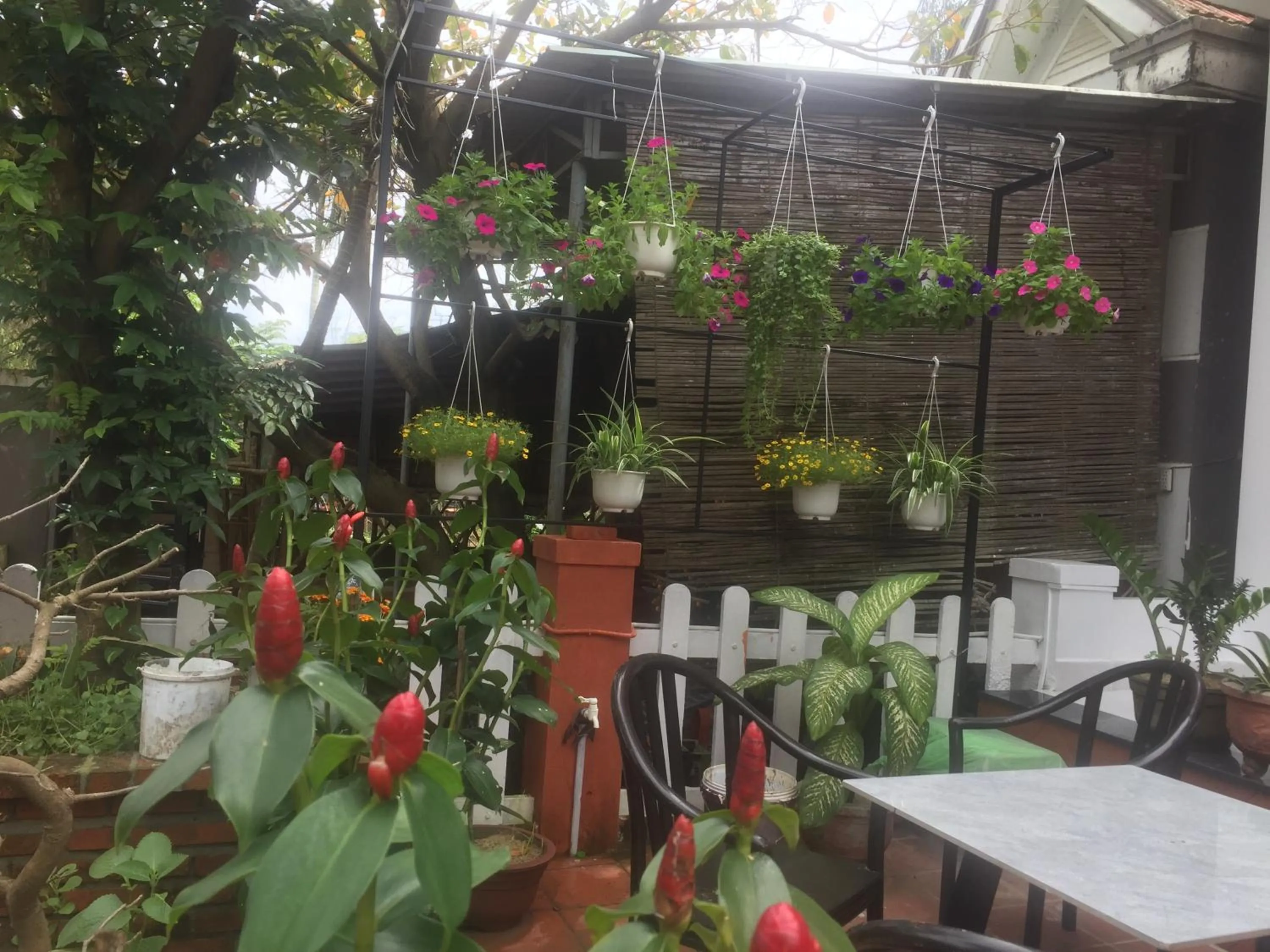 Garden view in New Destination Hoi An