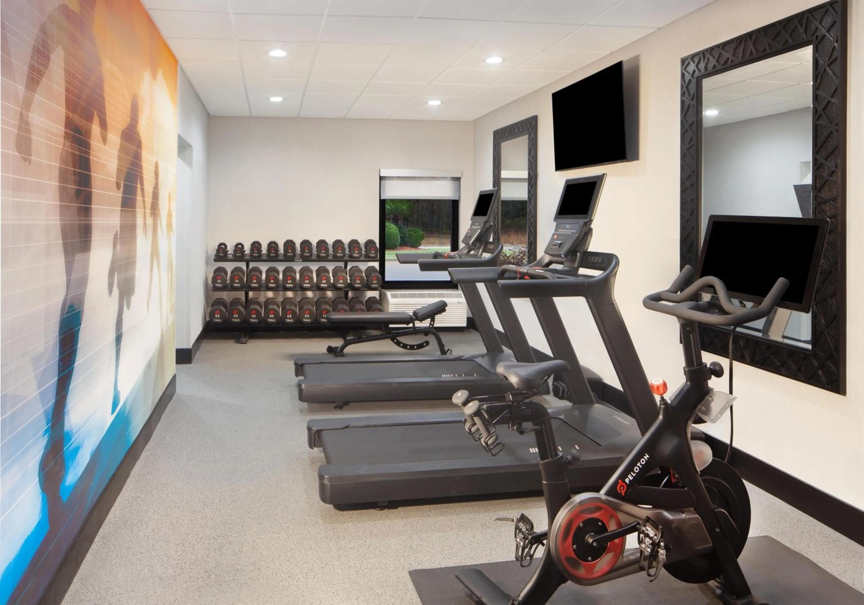 Fitness centre/facilities in Hampton Inn - Greenville