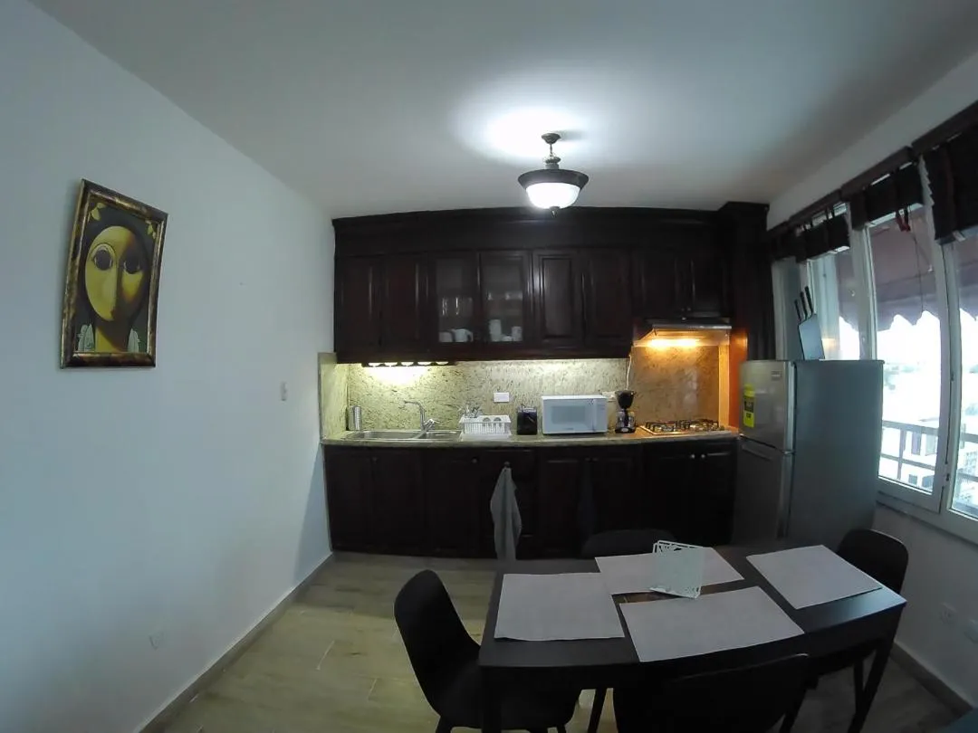 Kitchen or kitchenette in Hotel Discovery