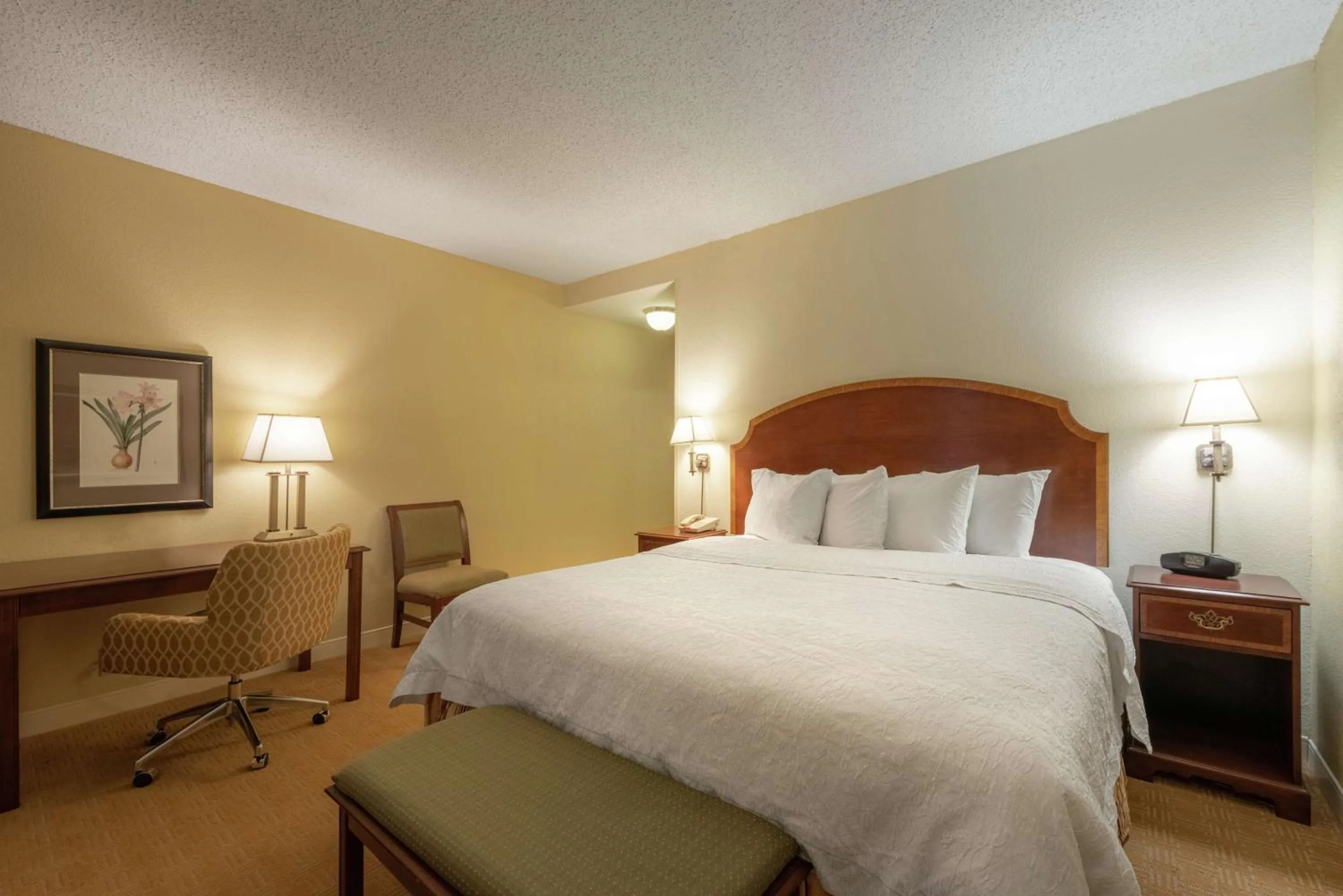 Bedroom, Bed in Hampton Inn & Suites - Vicksburg
