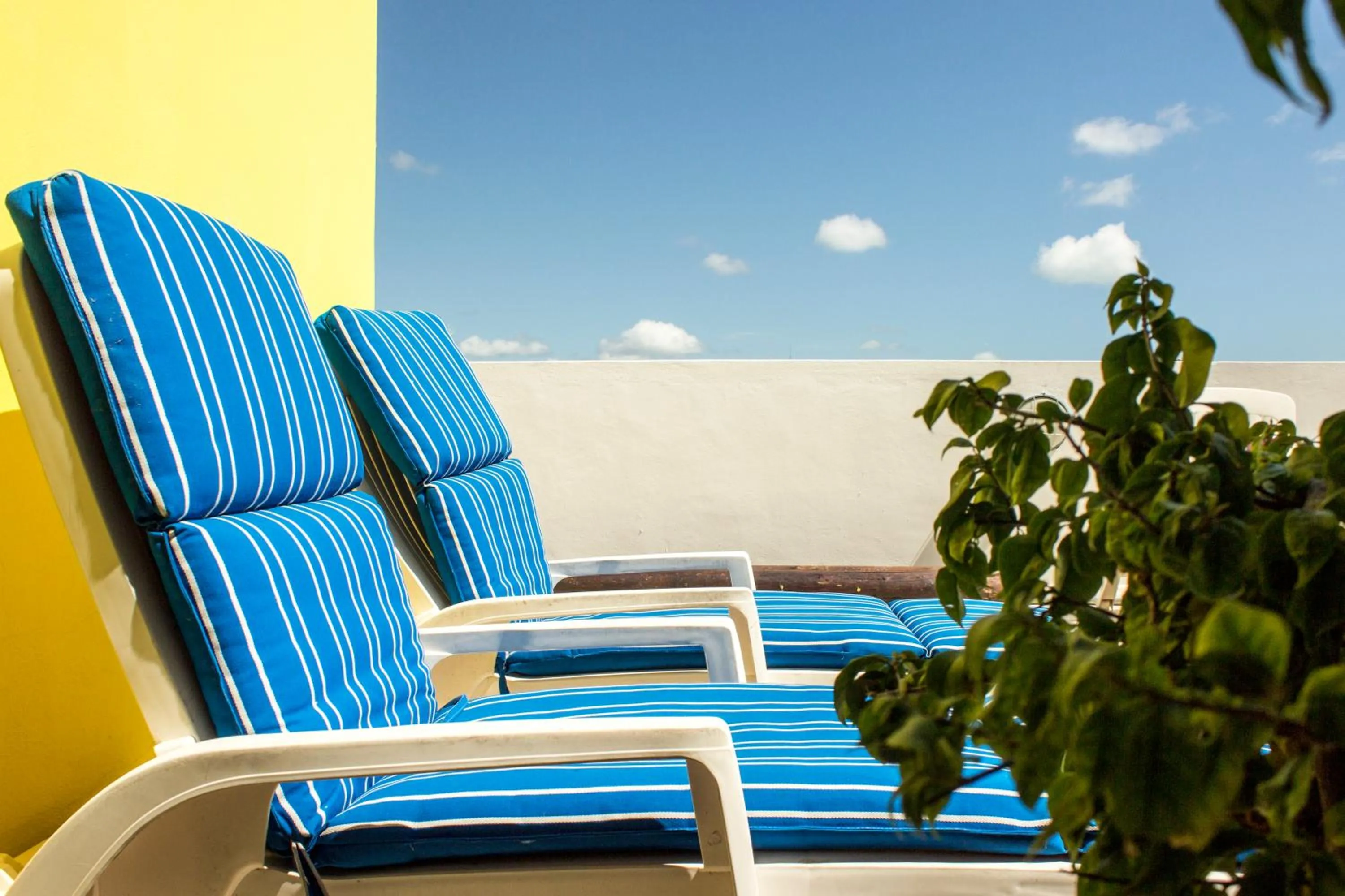 Solarium in Hotel Sol Playa