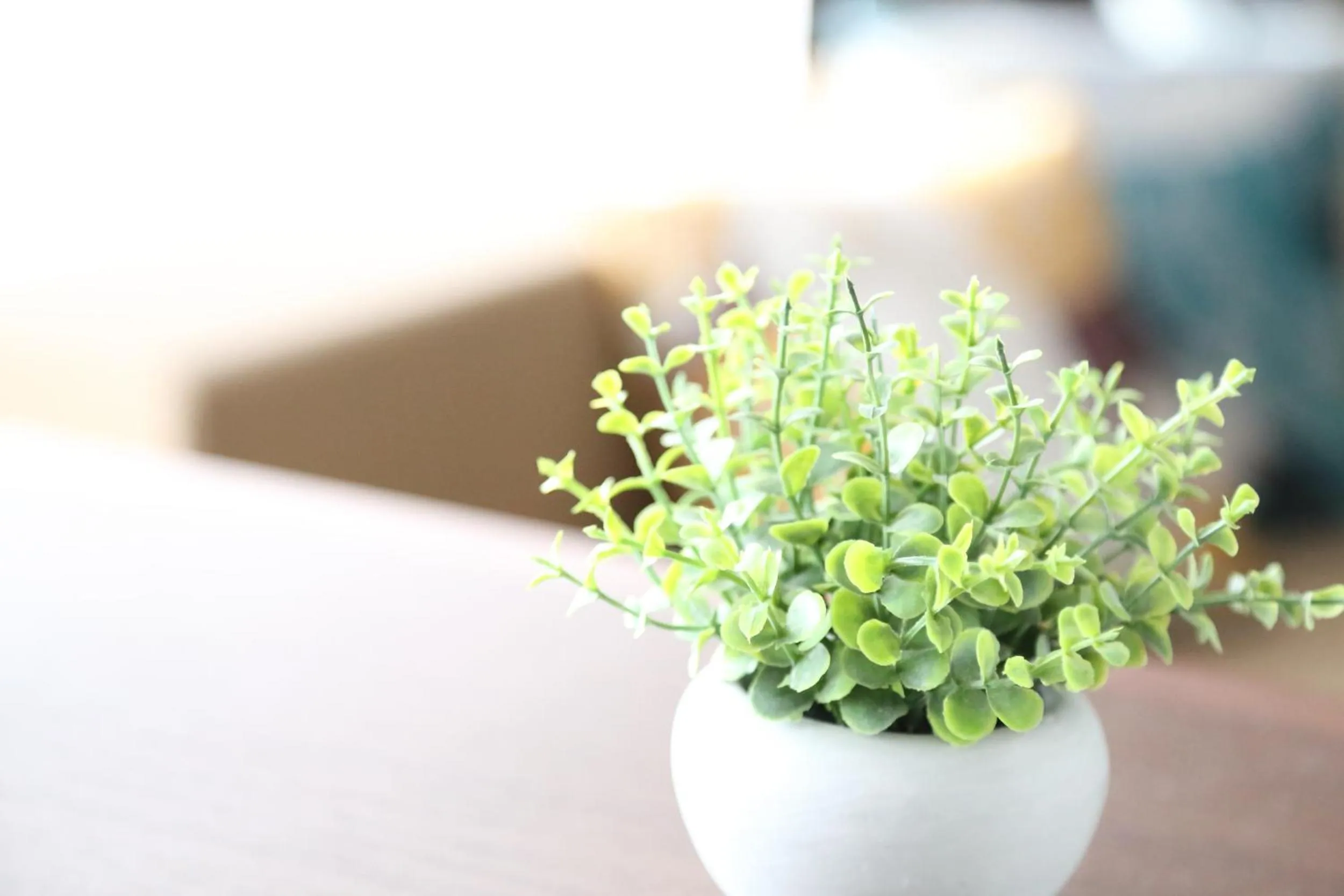 Decorative detail in Tabinoteitaku Okinawa Naha