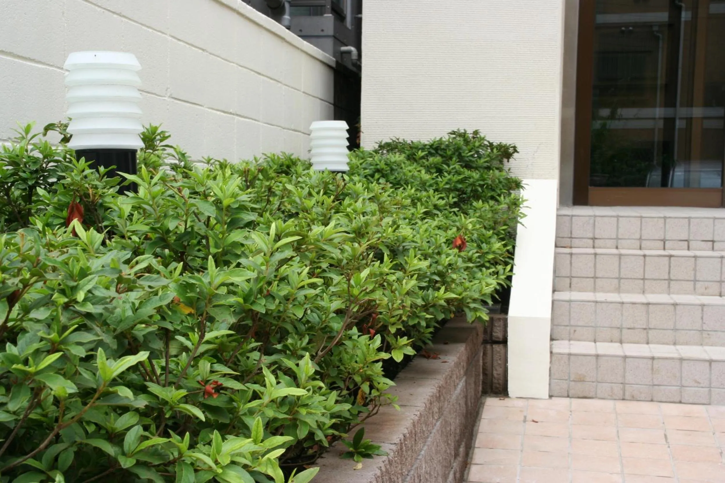 Area and facilities in Hanabi Hotel