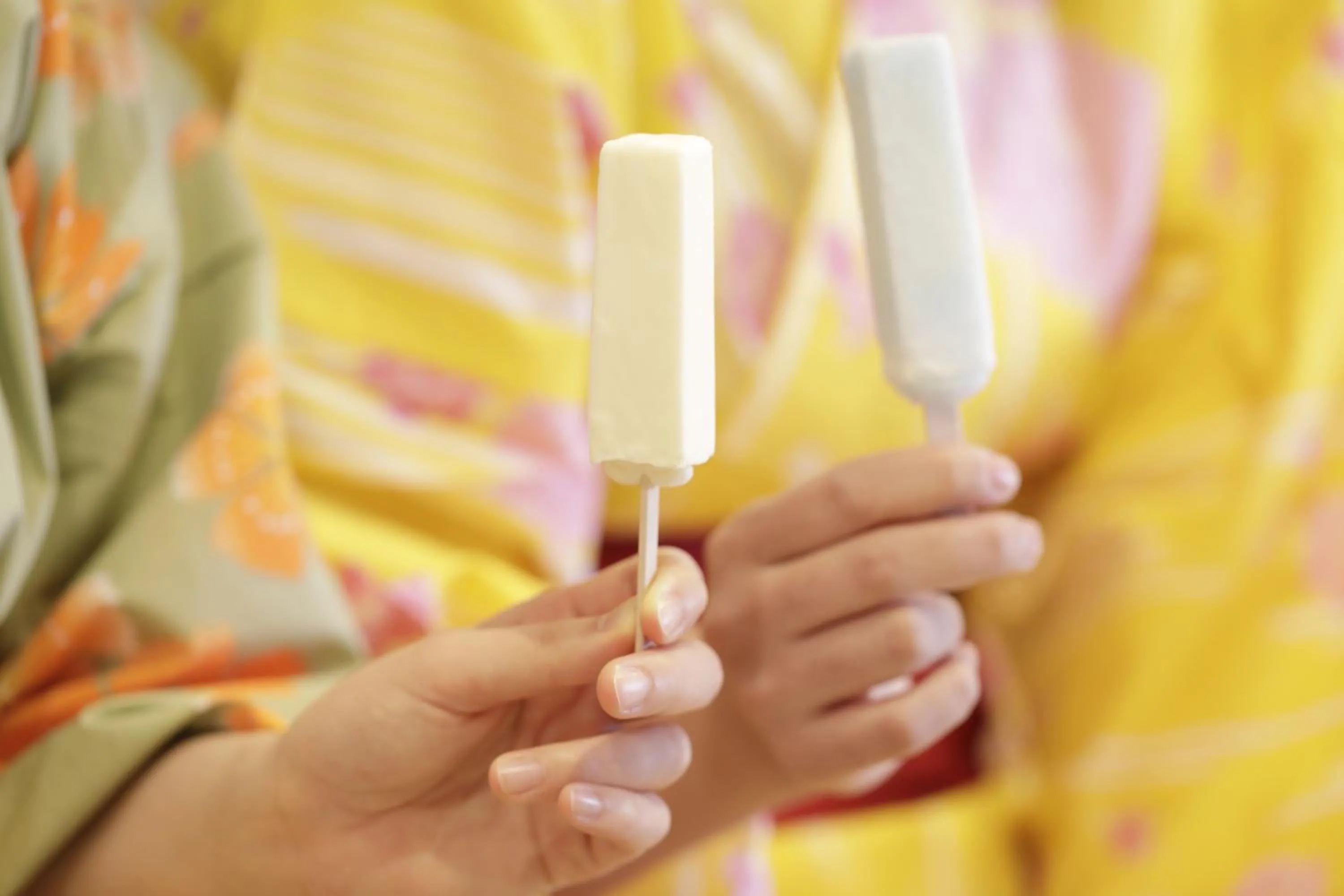 Other in Onyado Yuinosho, Shirakawago