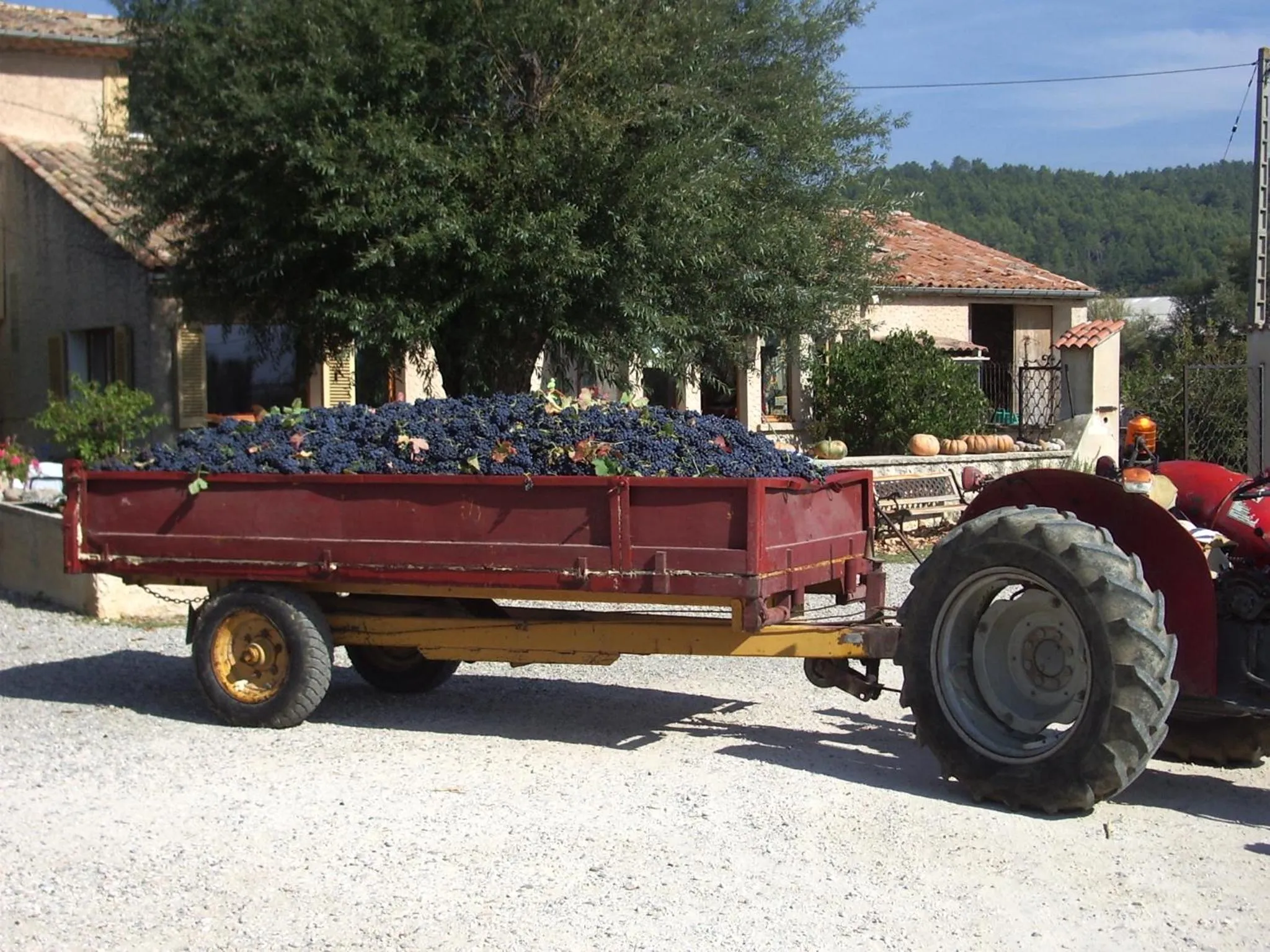 Natural landscape in Chambres & Tables d'hôtes Moulin de Lavon