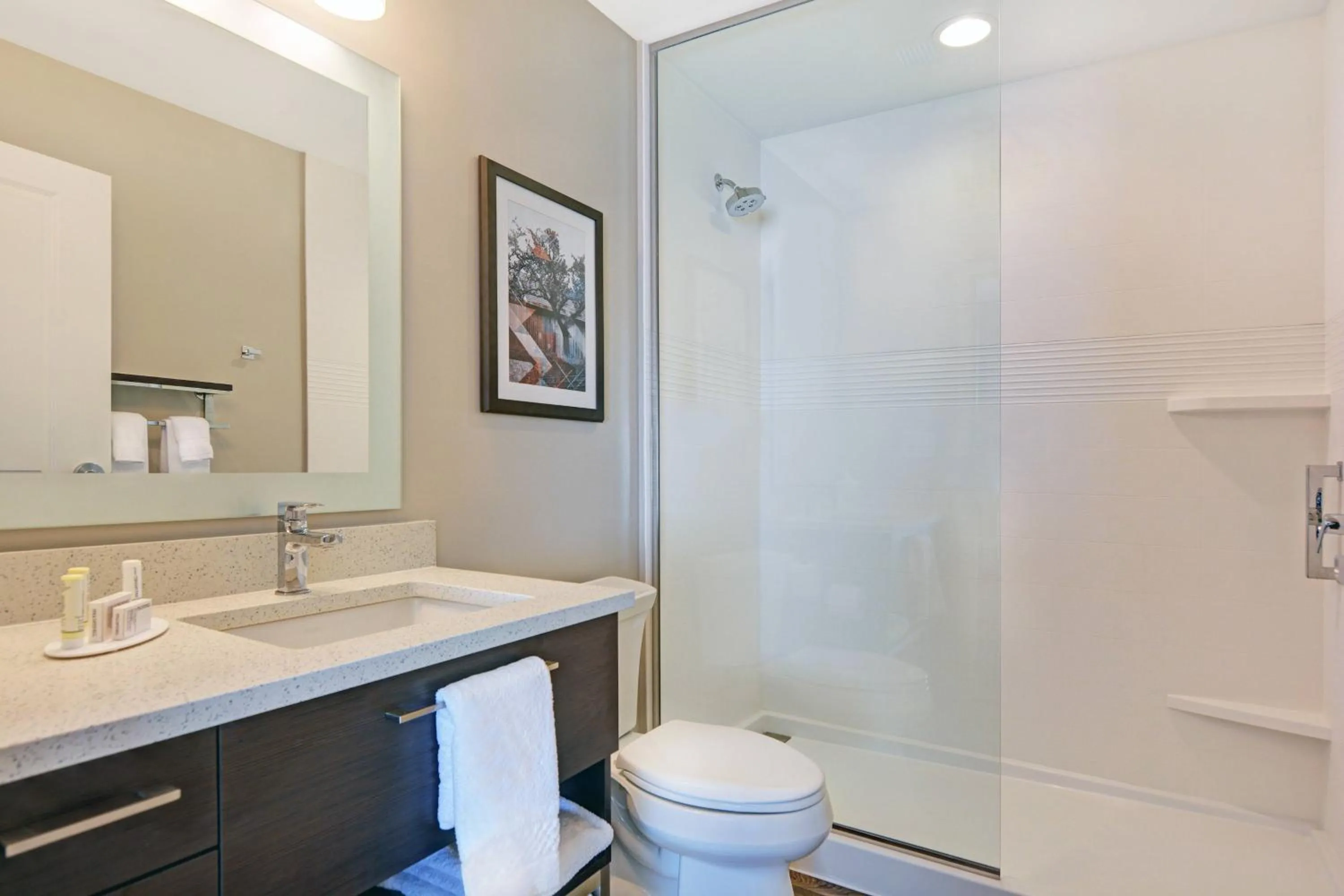 Bathroom in TownePlace Suites by Marriott Jackson Airport/Flowood