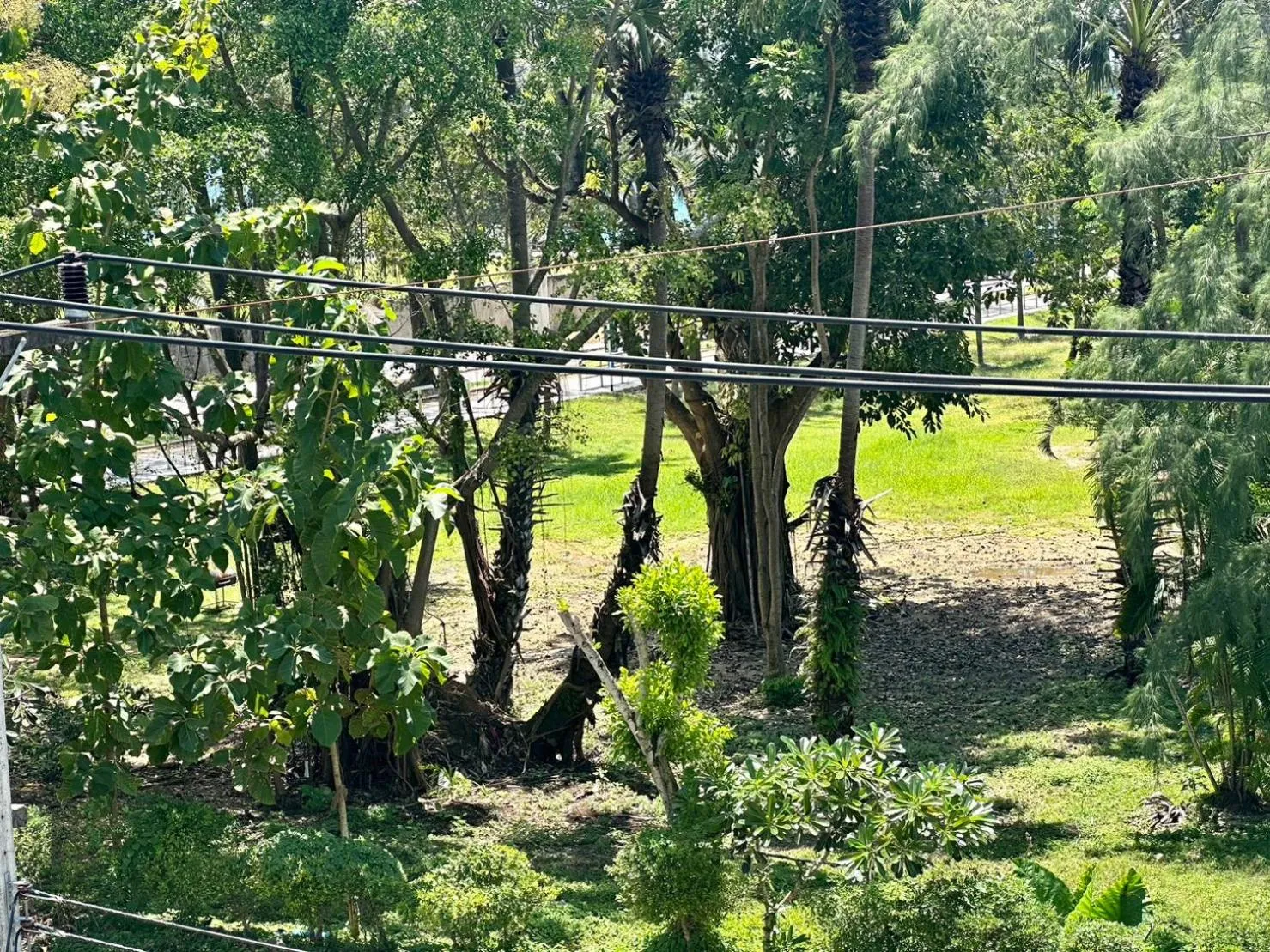 View (from property/room) in Surin Bay Inn