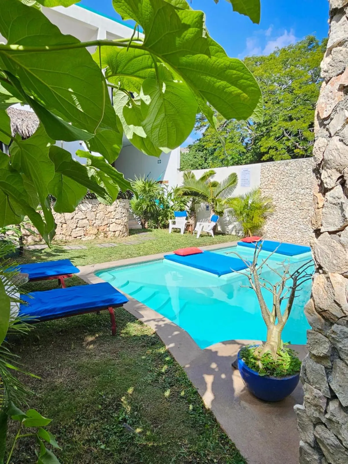 Day in Mayan Majesty Boutique Hotel