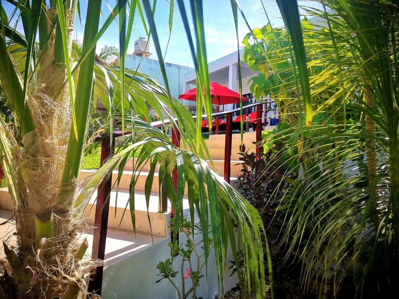 Garden view in Mayan Majesty Boutique Hotel