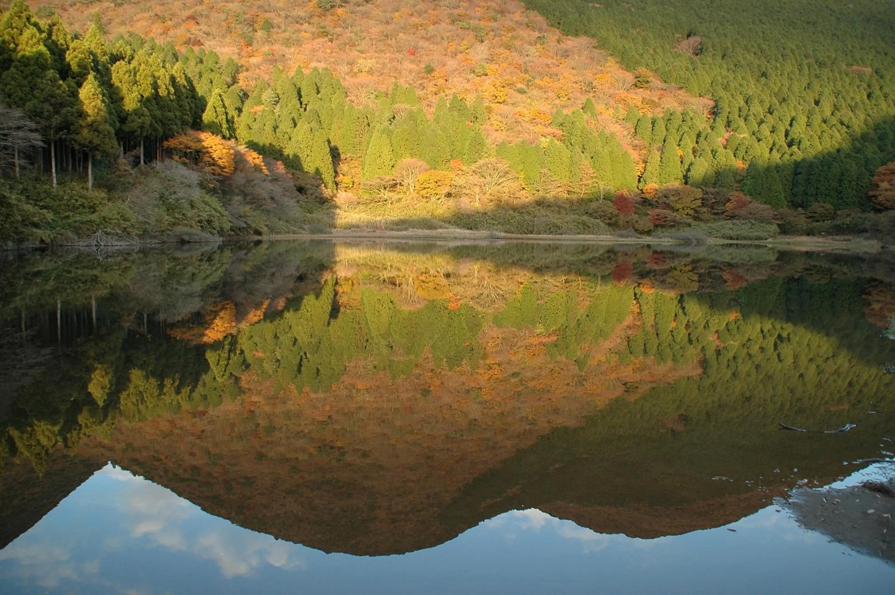 Natural landscape in Taisho Modern Villa Zen