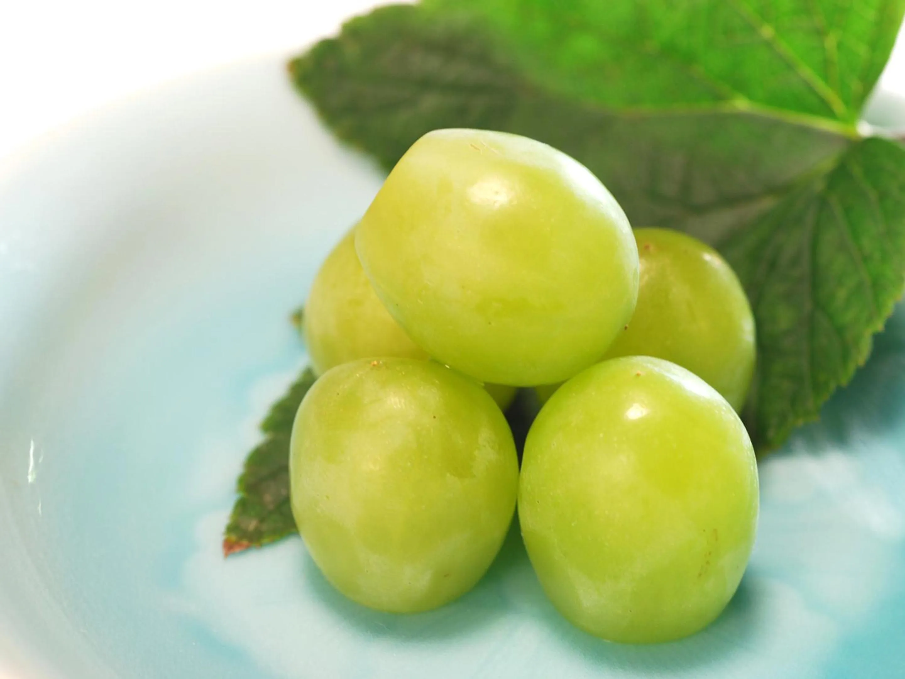 Food close-up in Bingoya