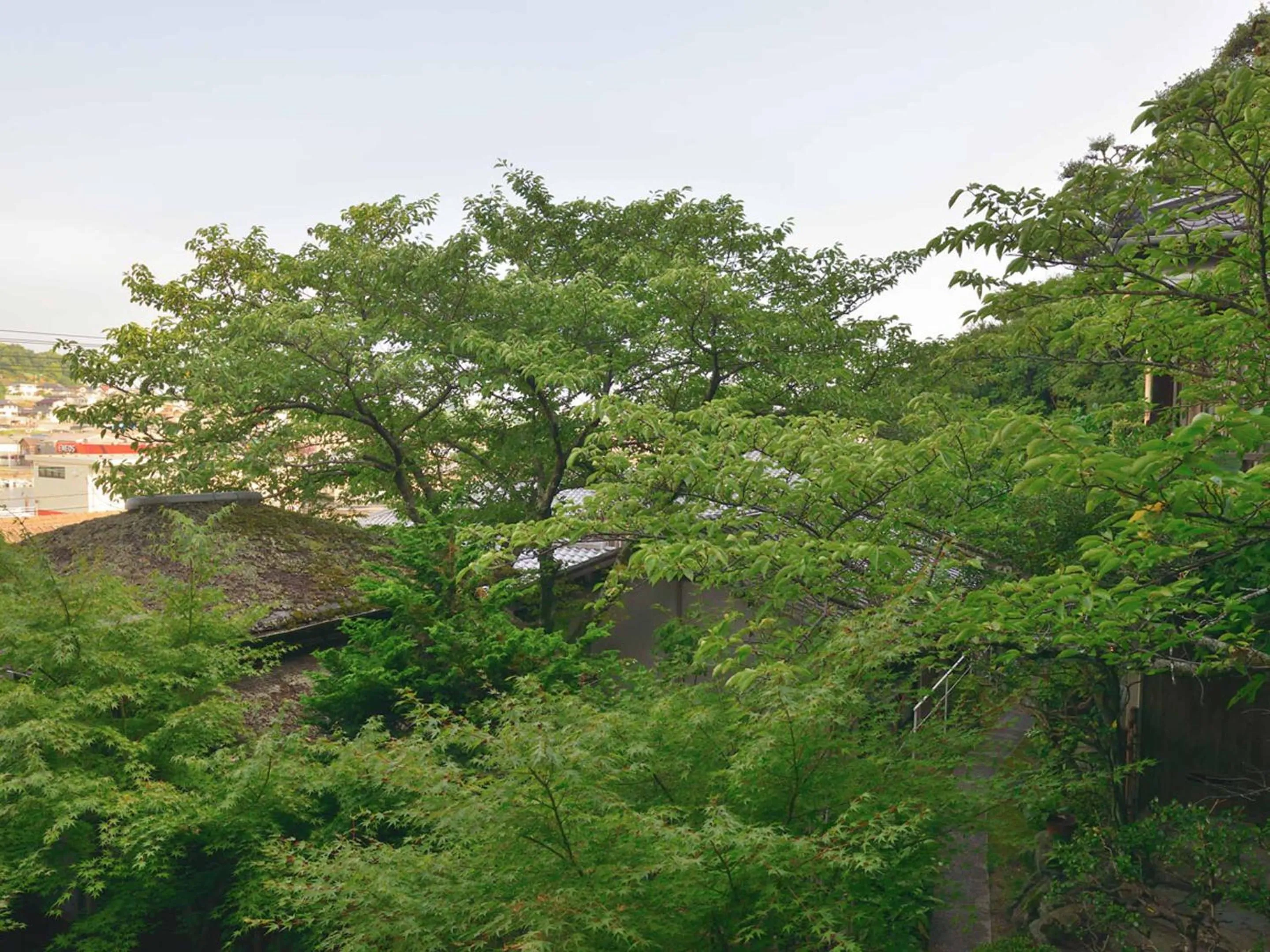 View (from property/room) in Bingoya