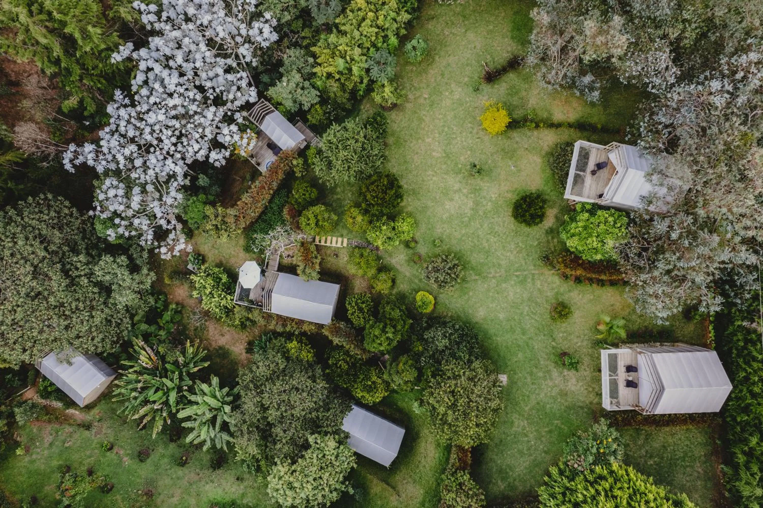 Bird's eye view in TEVA Glamping & Retreat