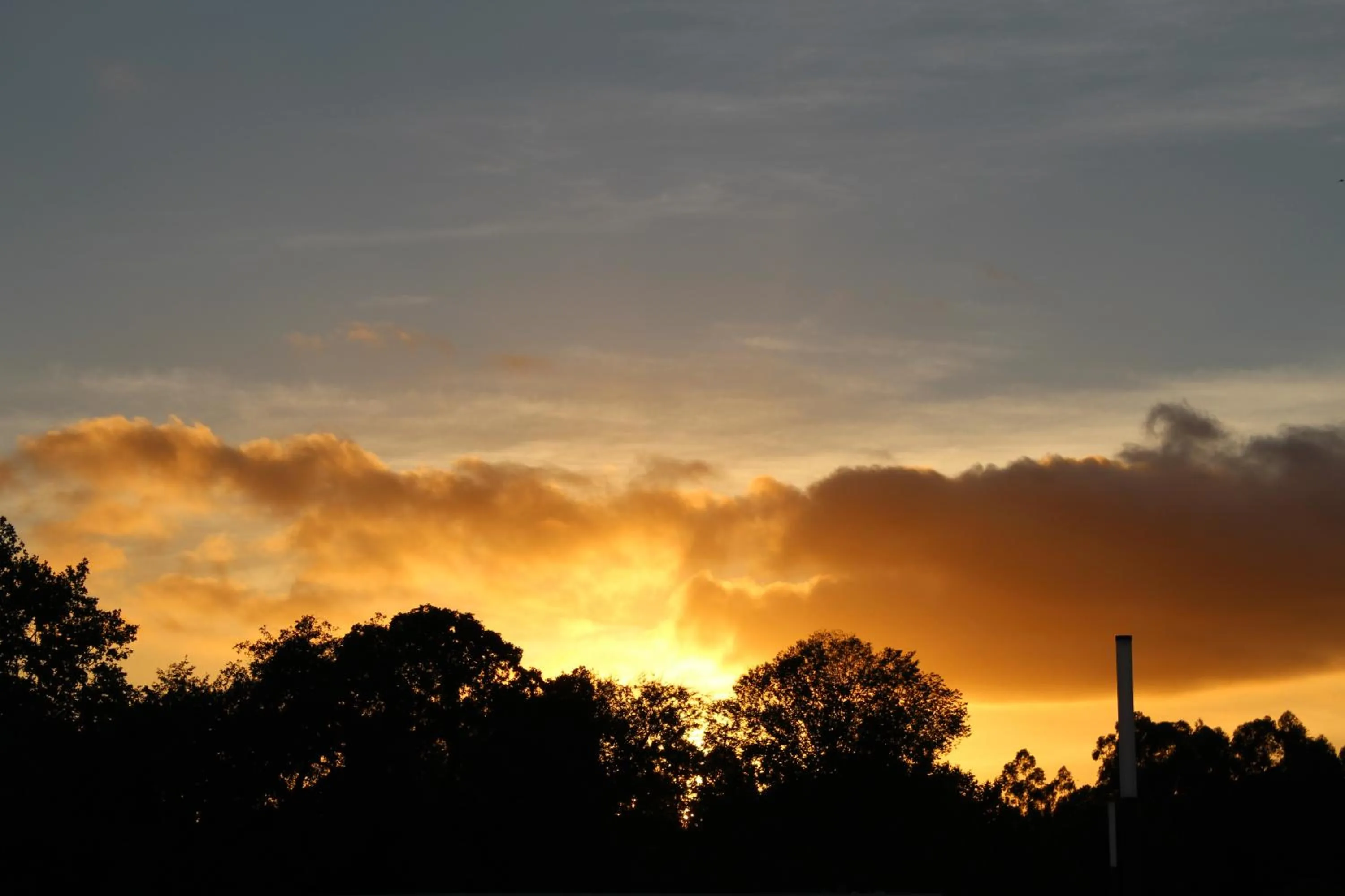 Property building in The Dharma Lodge