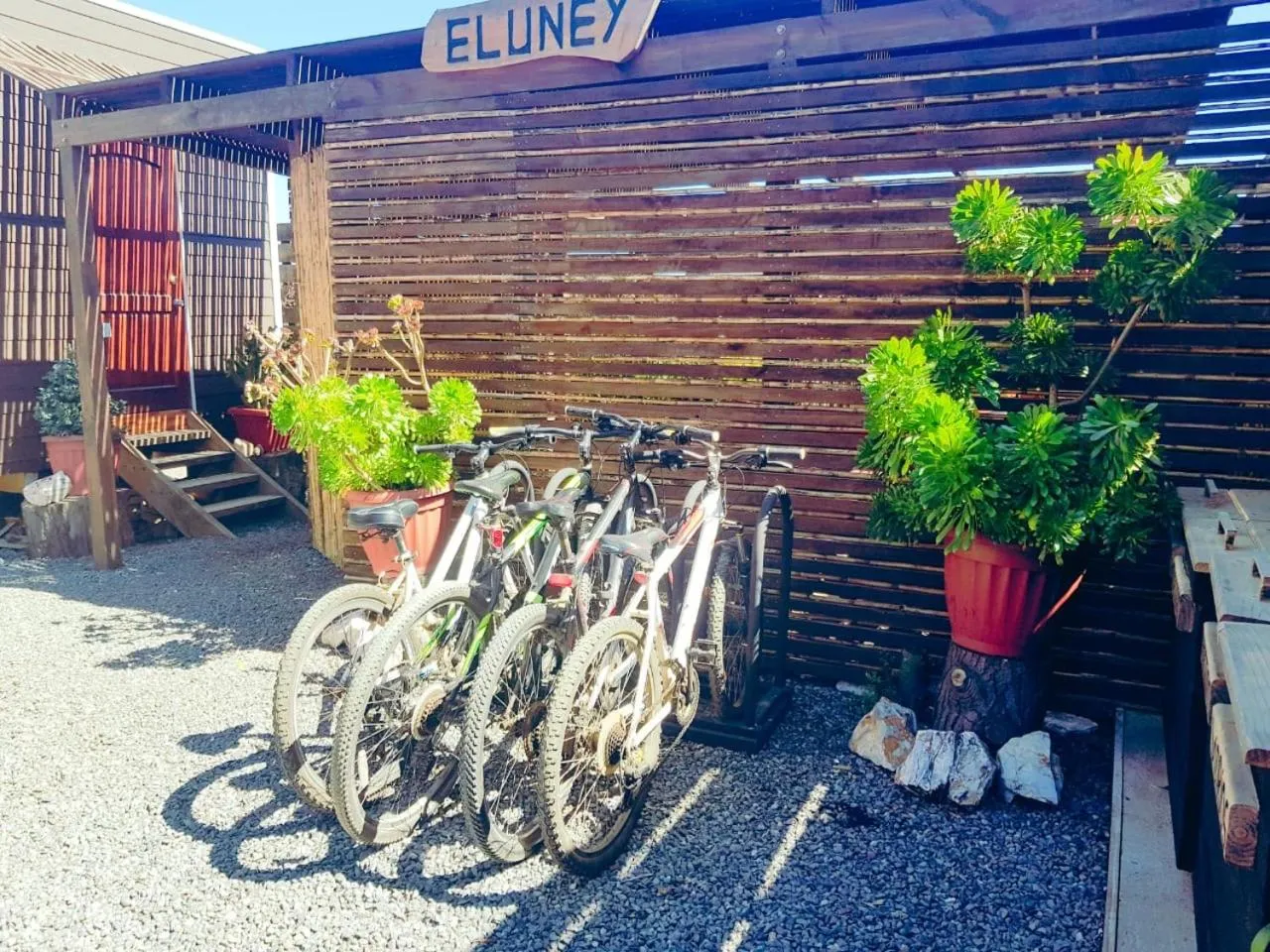 Cycling in ELUNEY Pichilemu