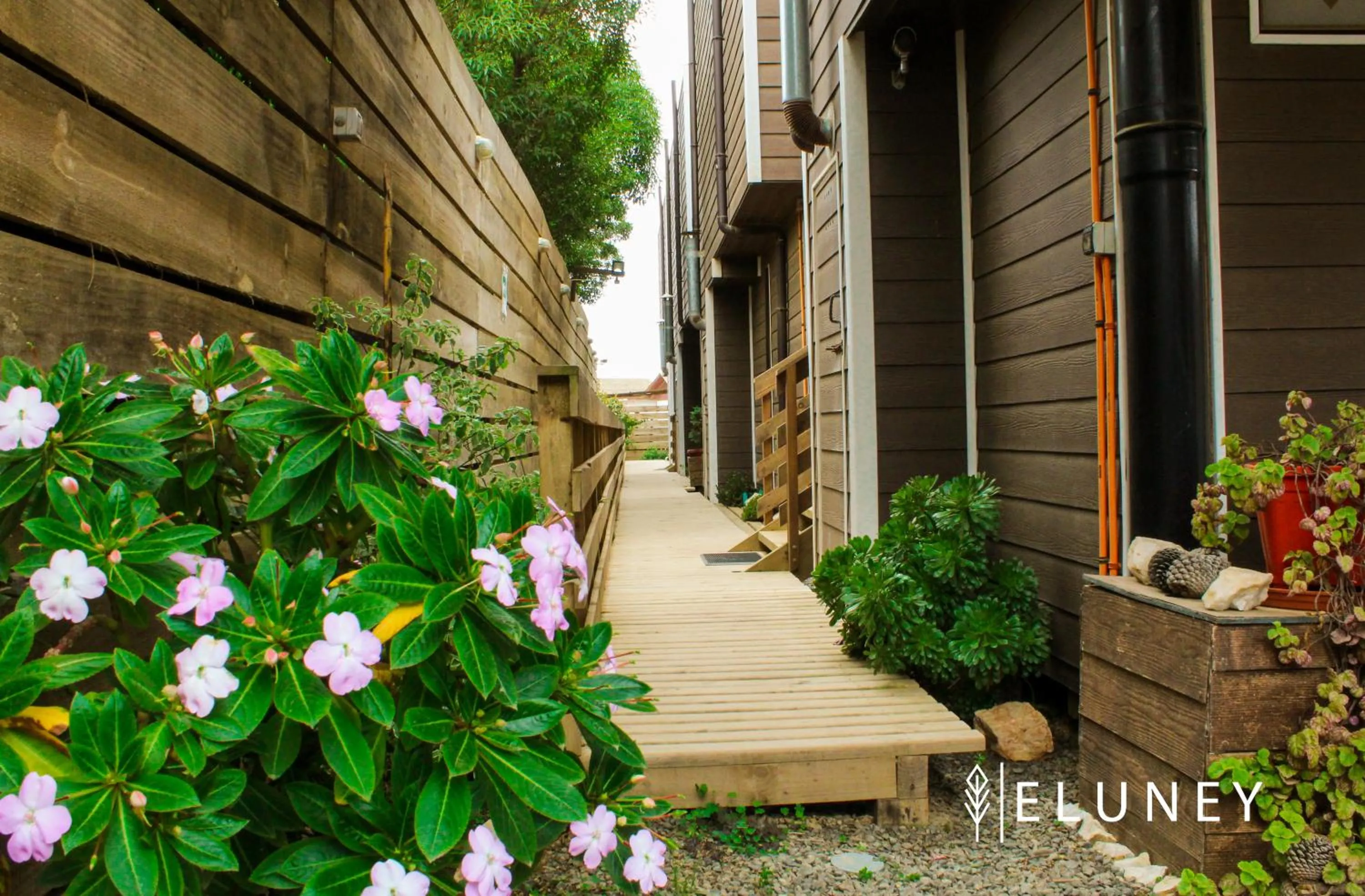 Property building in ELUNEY Pichilemu