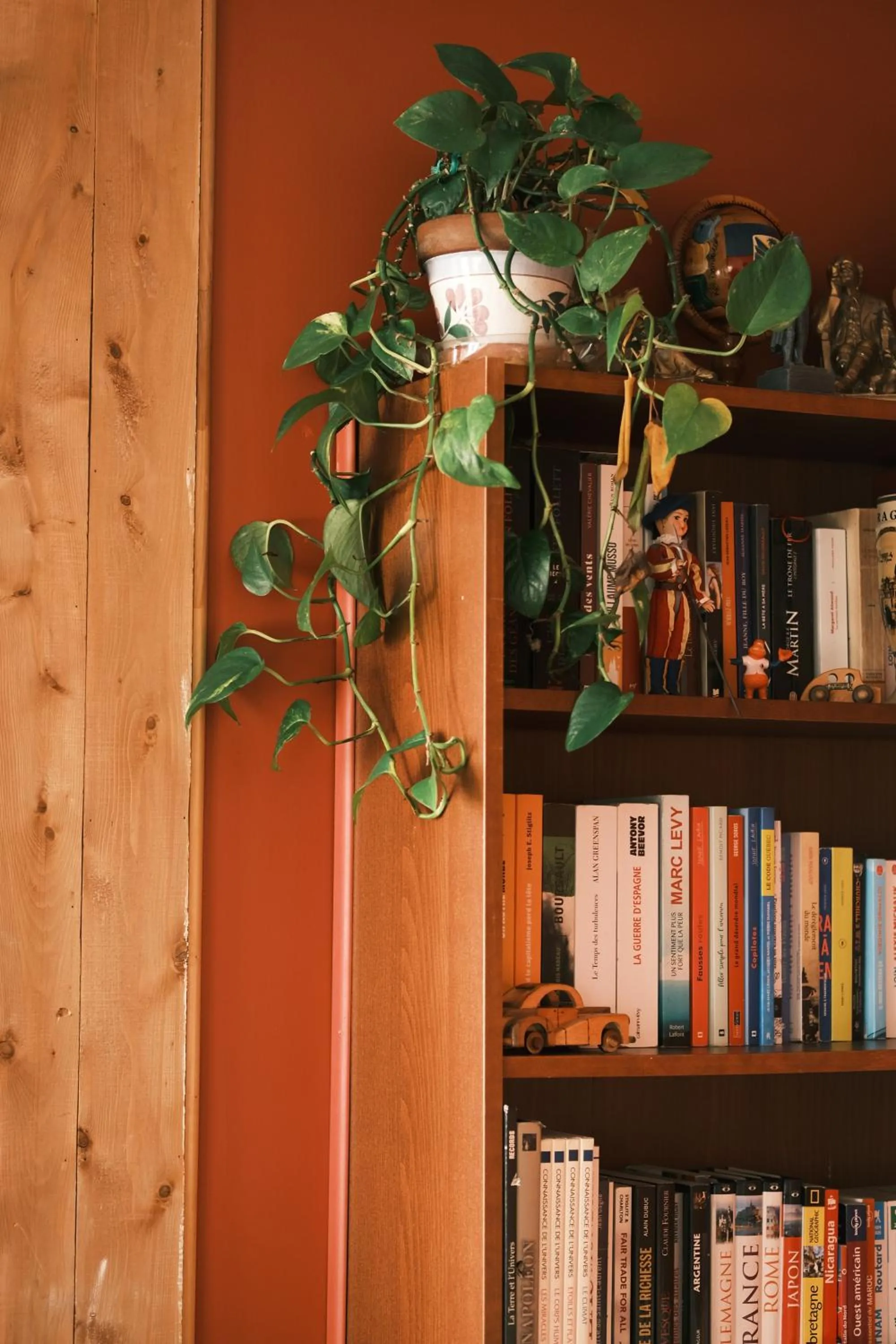 Library in Les Pinsons des Rives