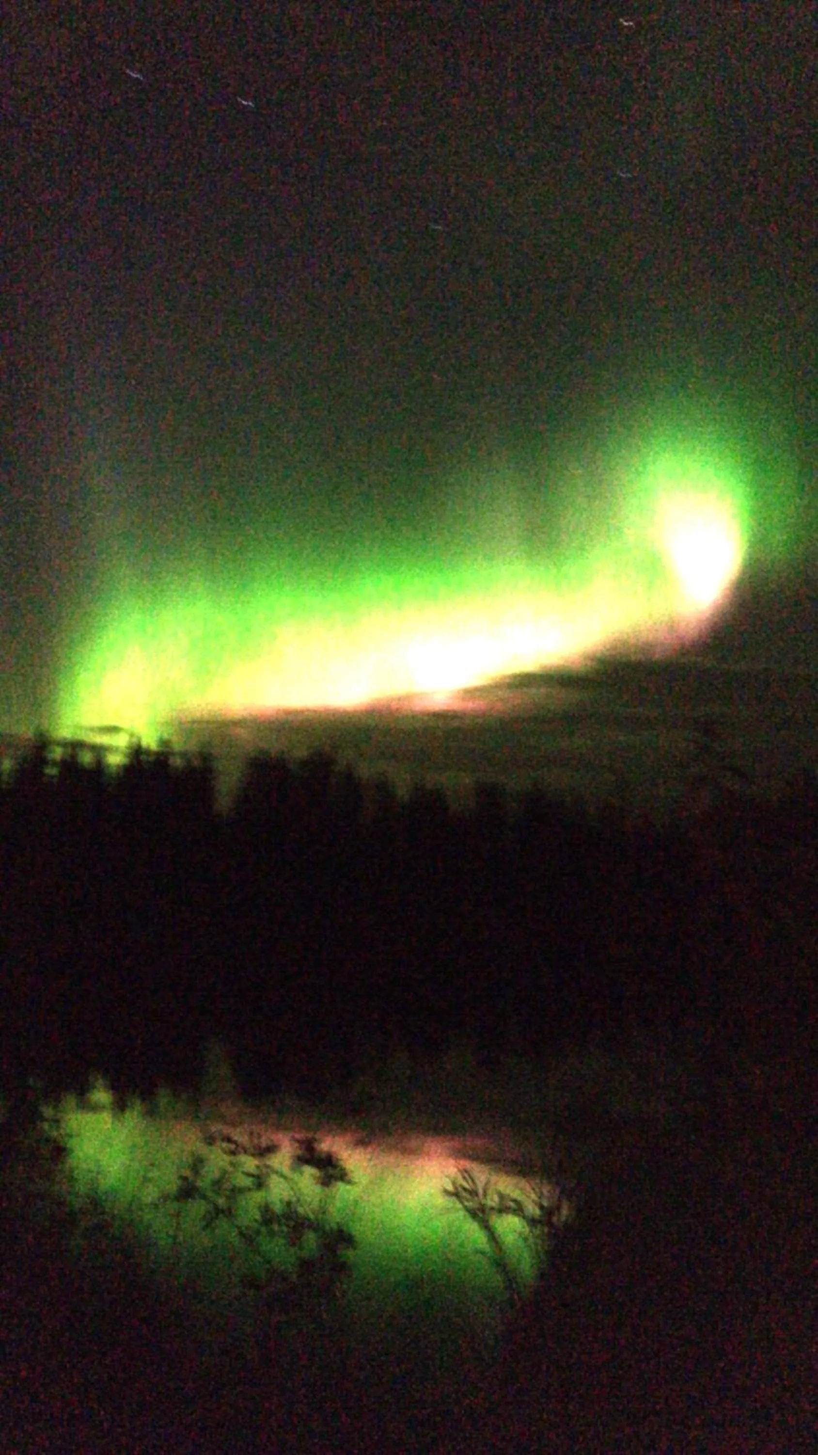Alaska Log Cabins on the Pond