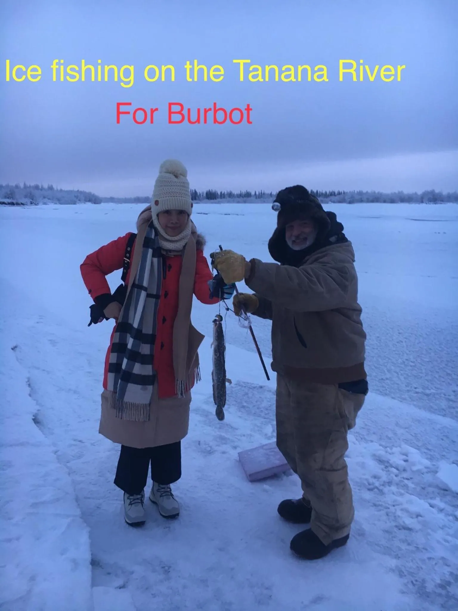 Alaska Log Cabins on the Pond