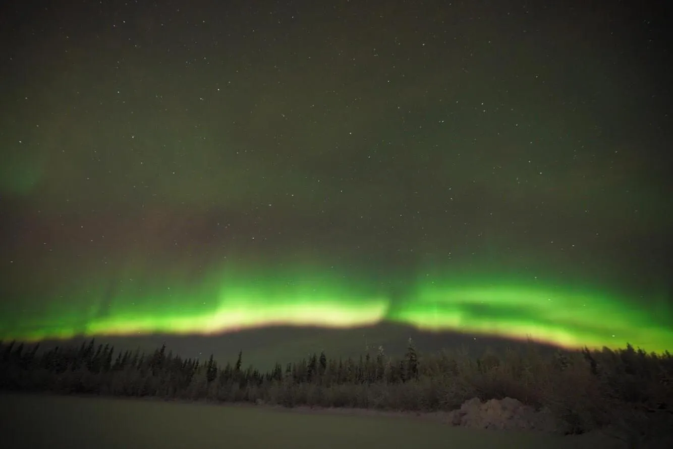 Alaska Log Cabins on the Pond