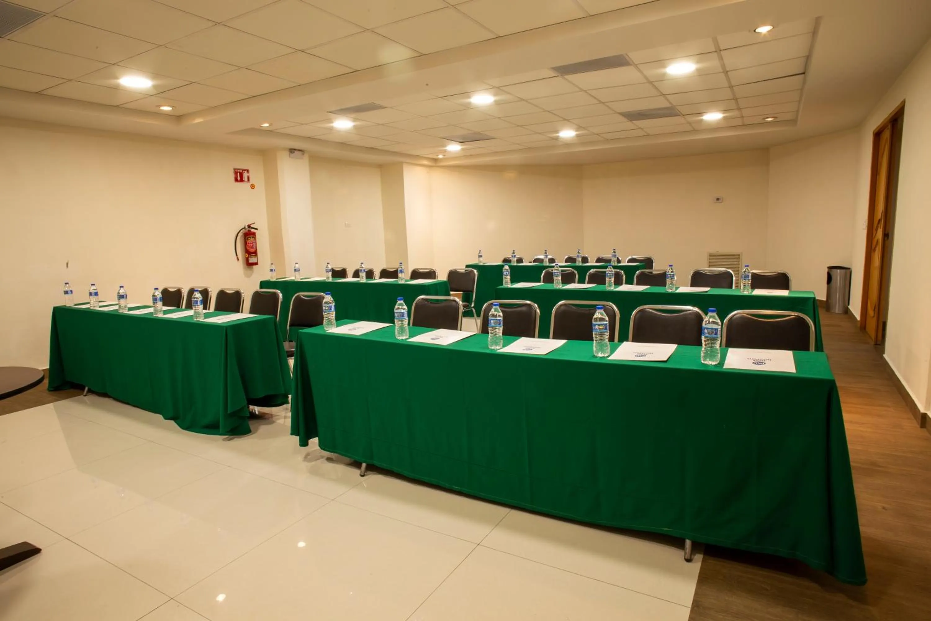 Business facilities in Hotel Plaza Calzada