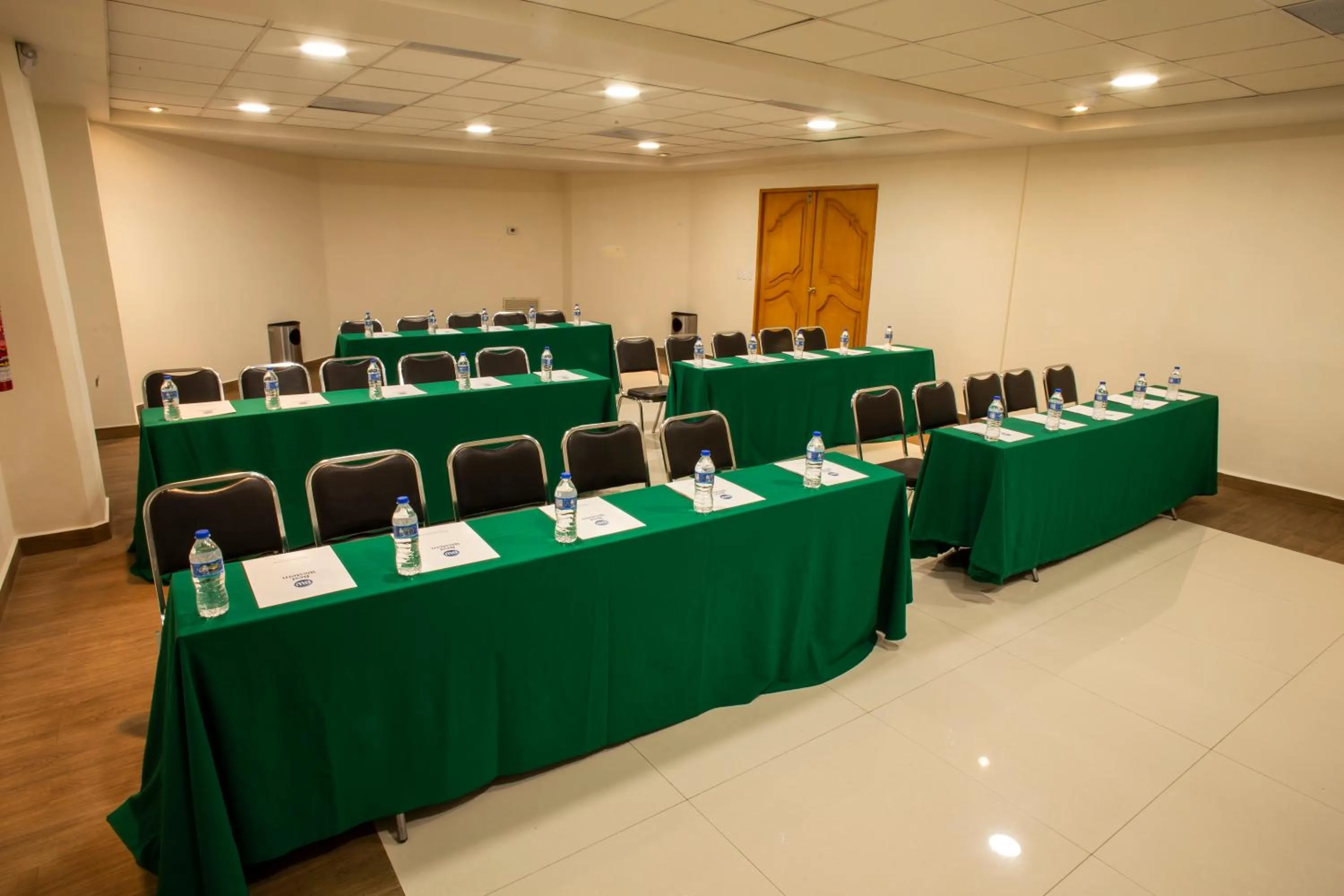 Business facilities in Hotel Plaza Calzada
