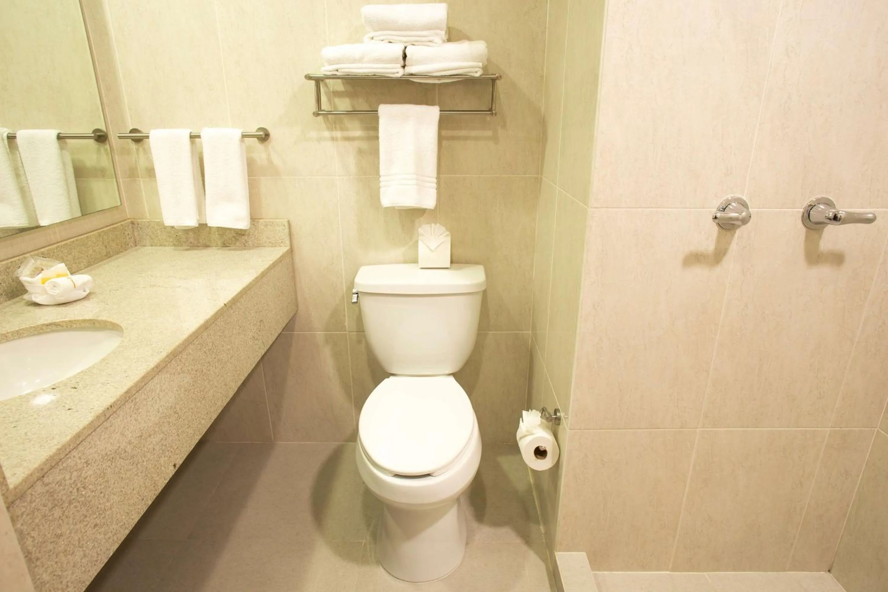 Bathroom in Hotel Plaza Calzada