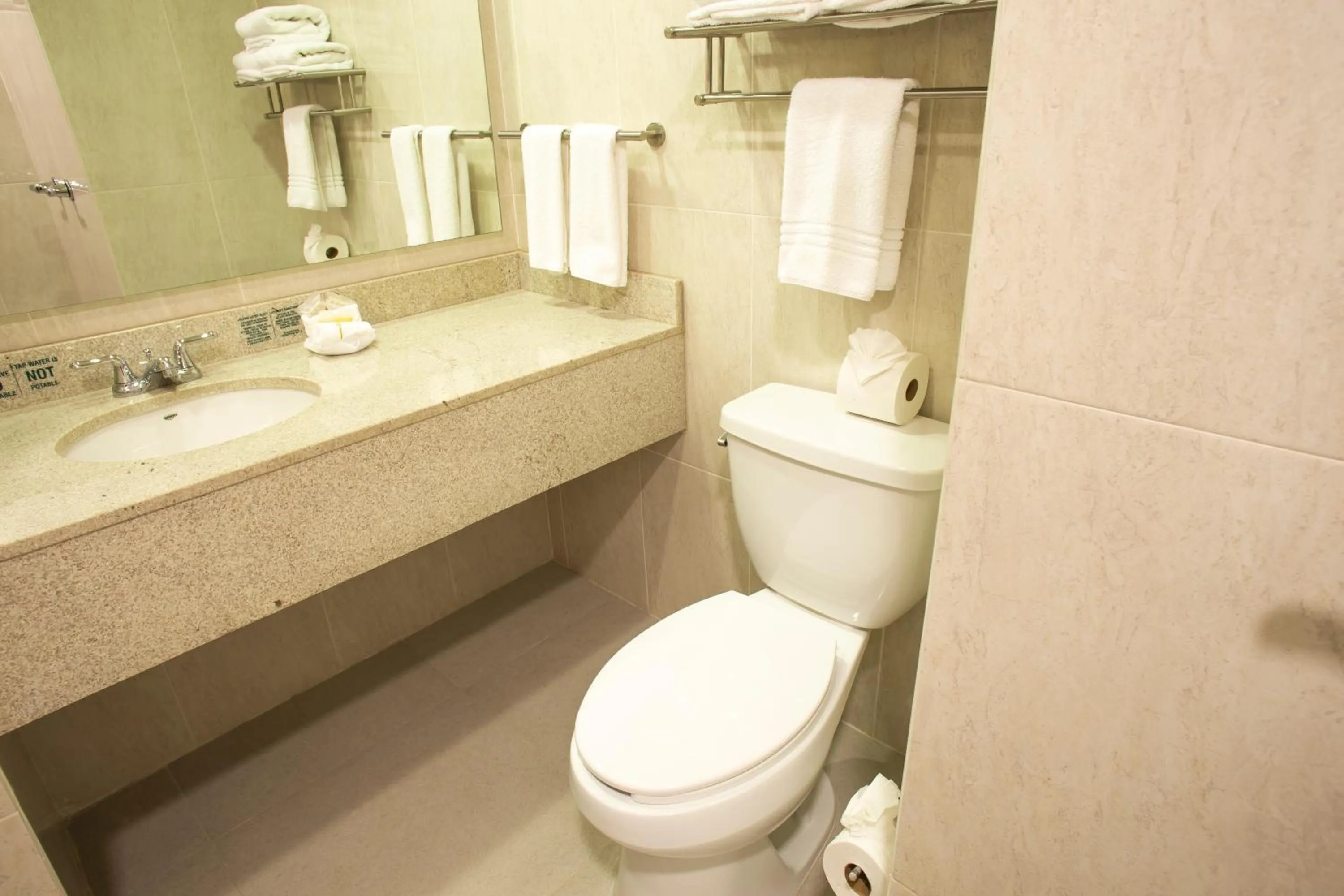 Bathroom in Hotel Plaza Calzada