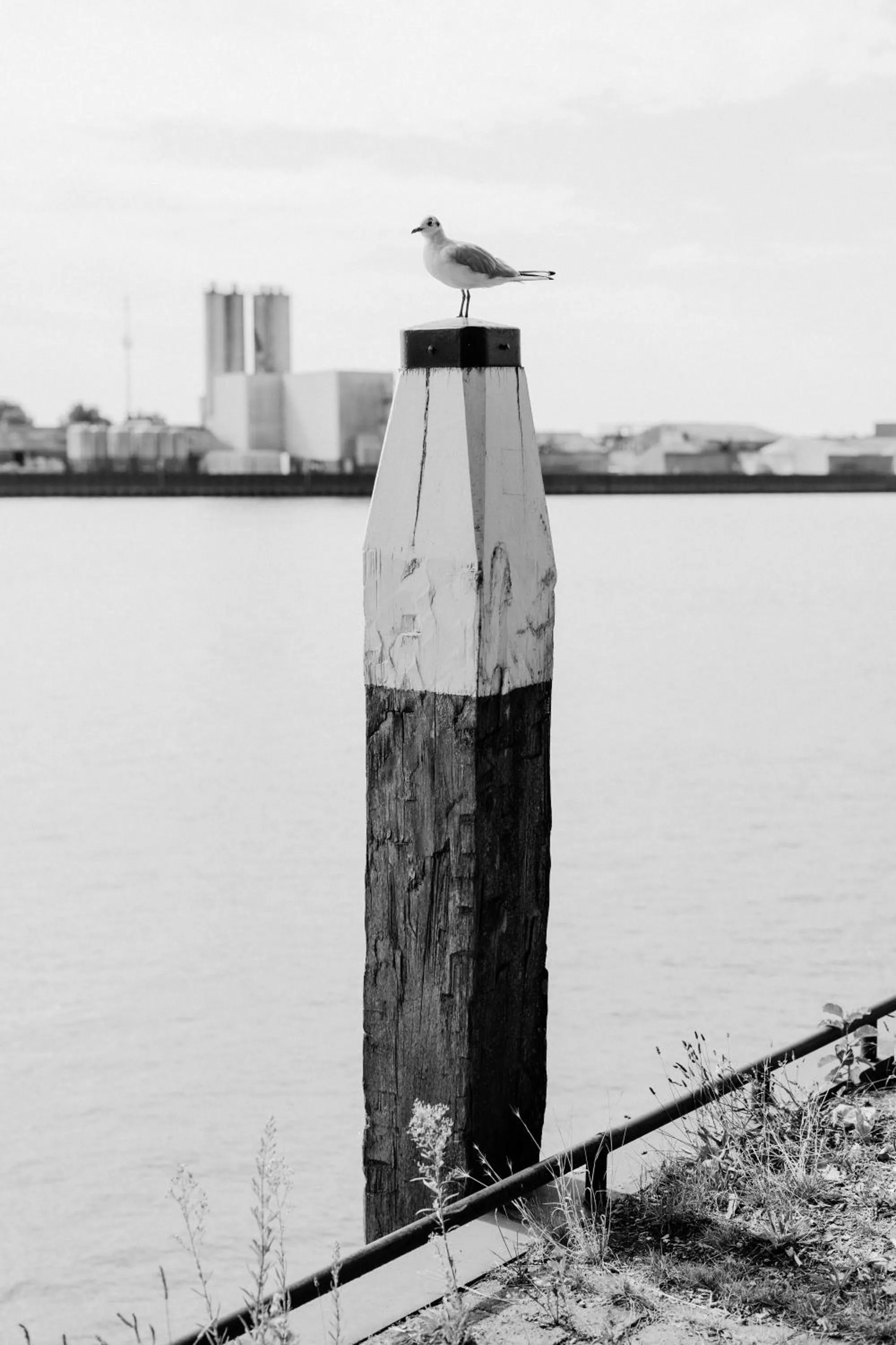 River view in Hotel Restaurant Belvédère