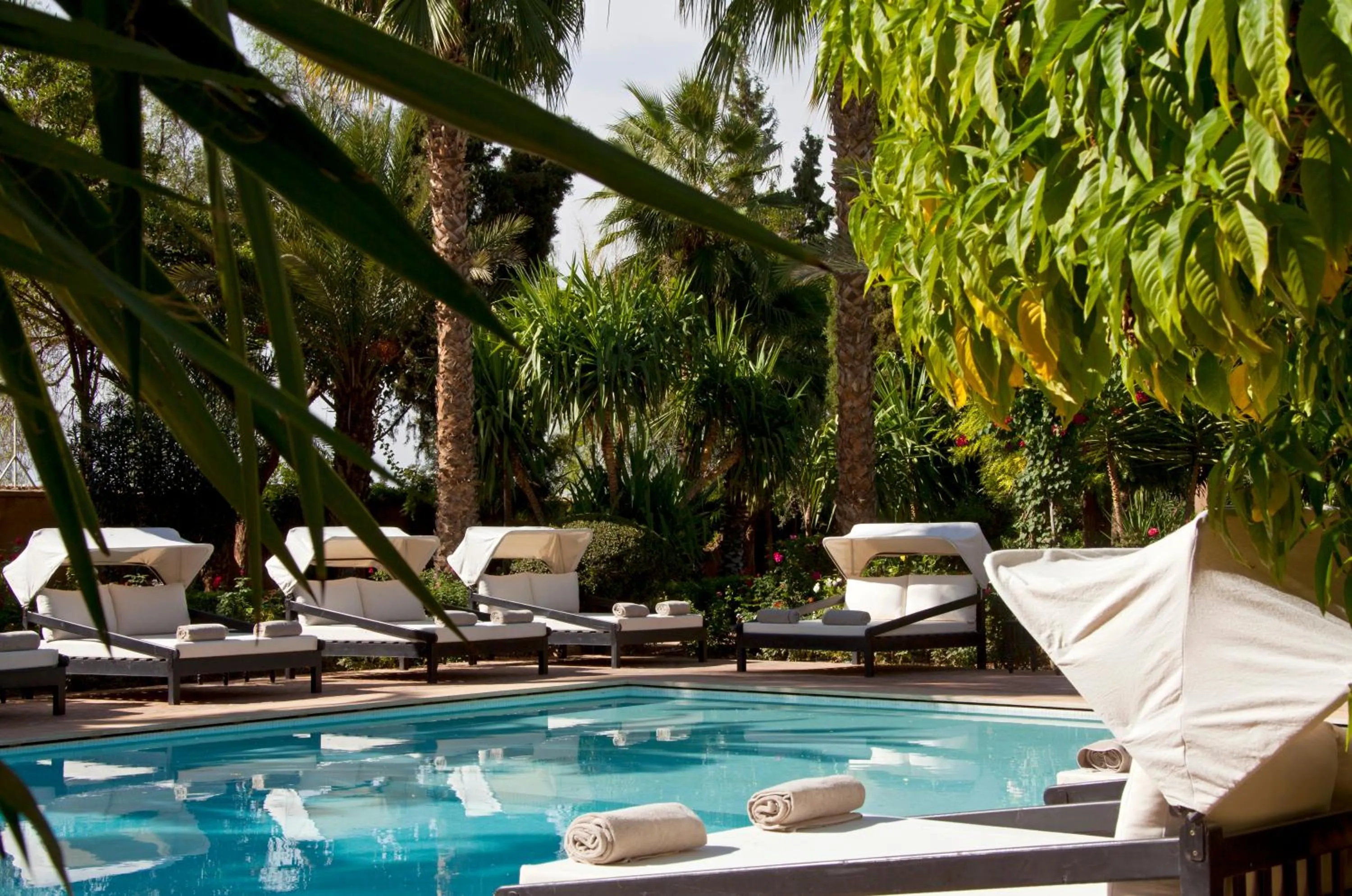 Garden in Palais de l'O - Maison d'hôtes