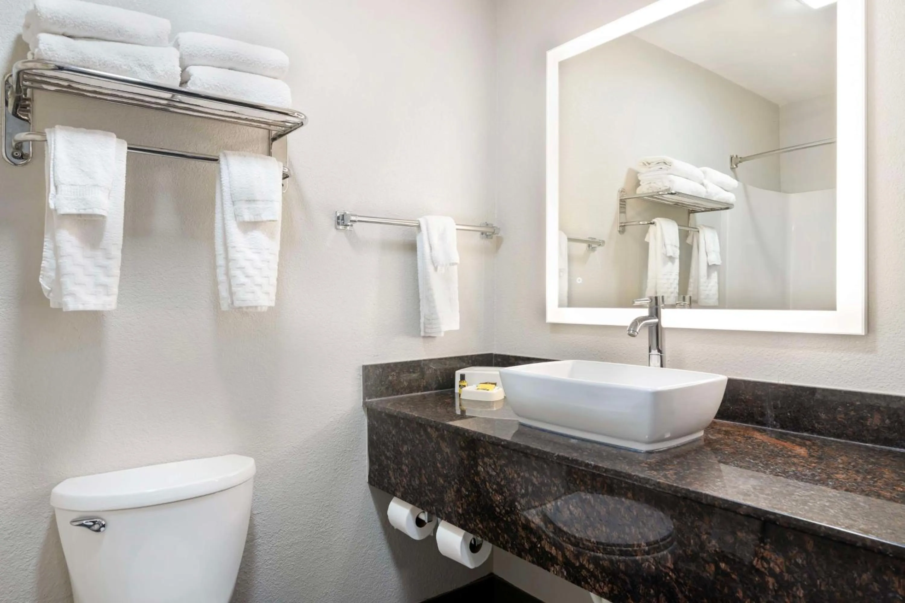 Bathroom in Best Western Savannah Airport Inn & Suites