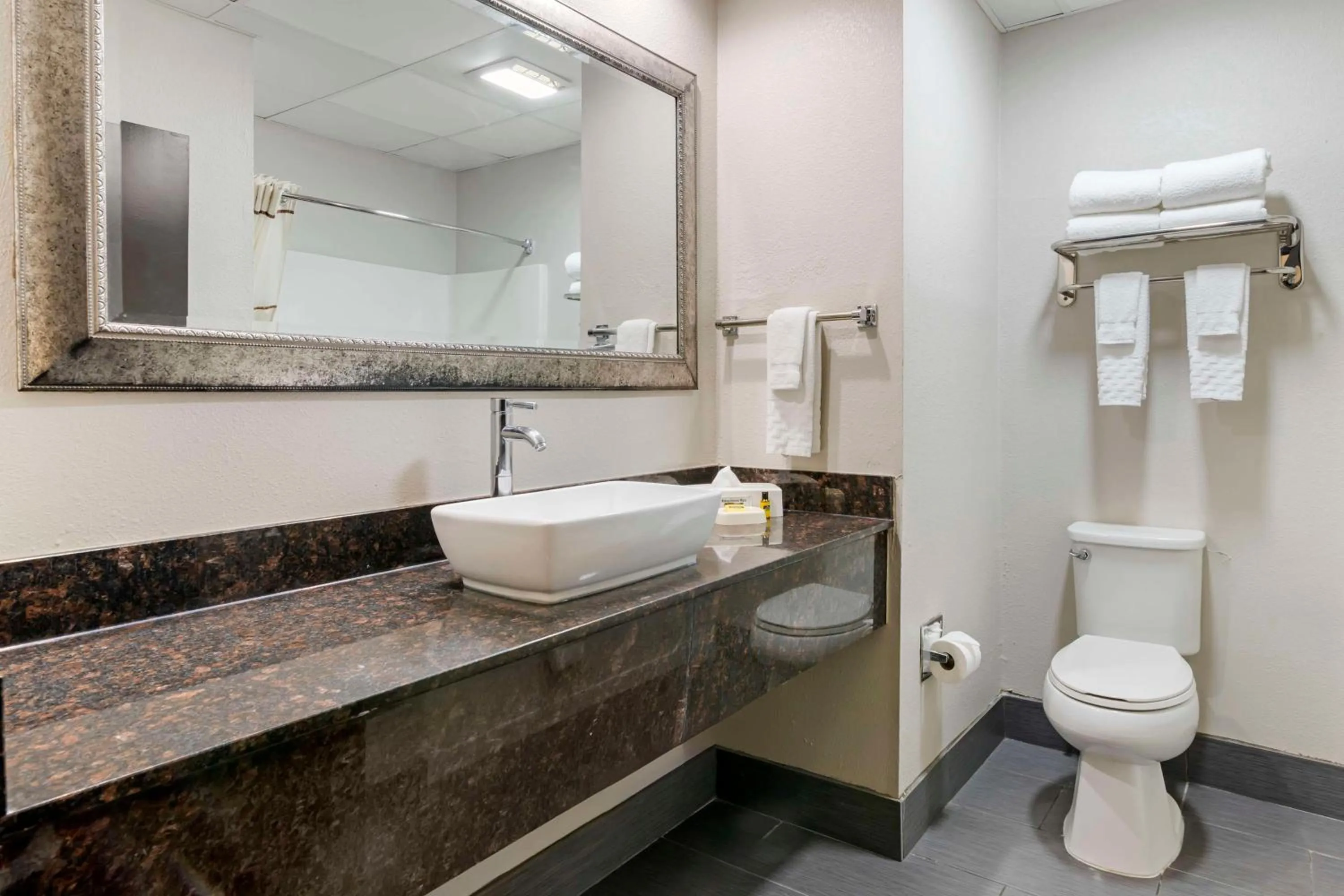 Bathroom in Best Western Savannah Airport Inn & Suites