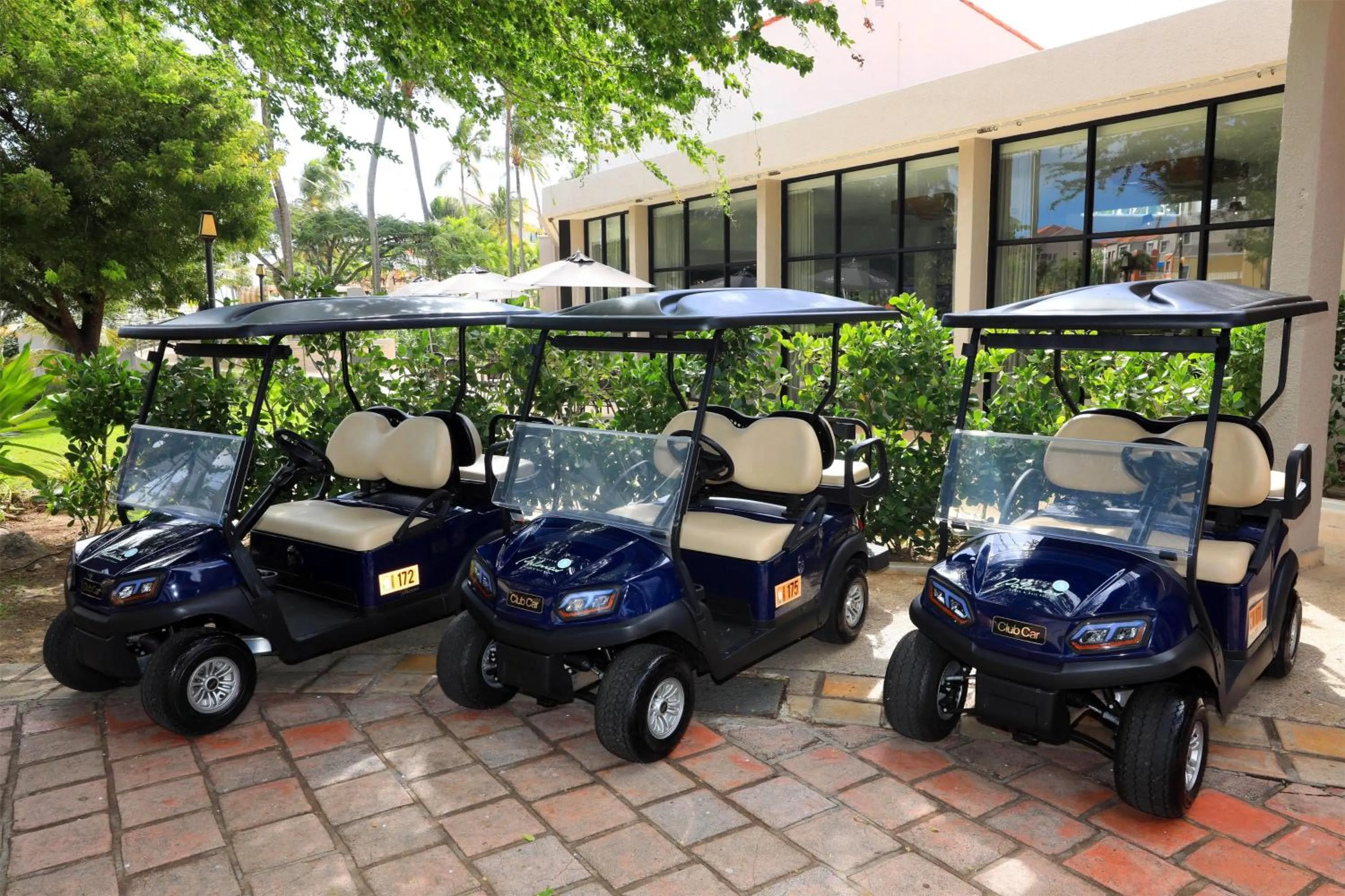Golfcourse in Wyndham Palmas Beach and Golf Boutique Resort
